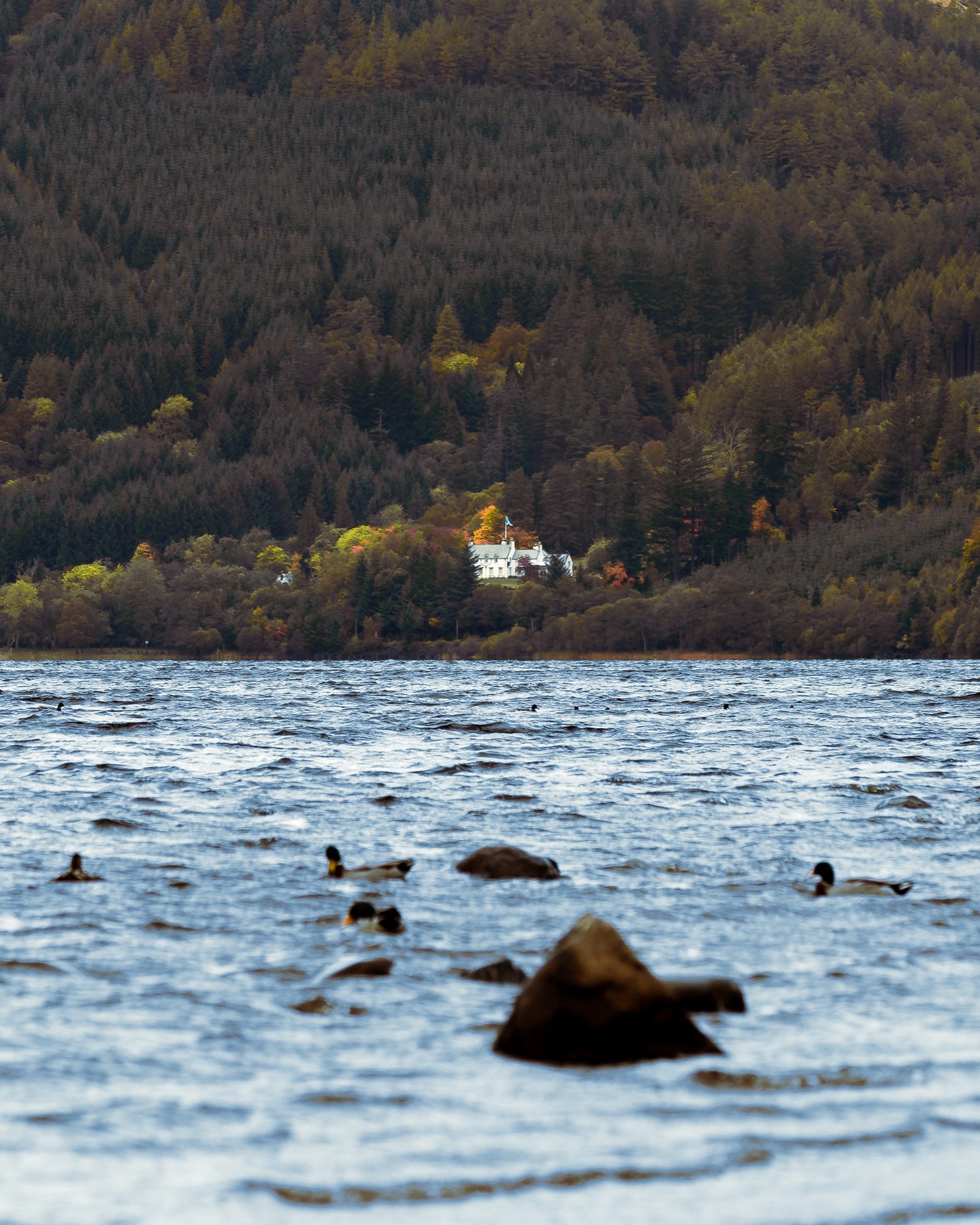 Property with a view… and probably the best Wi-Fi password ever. Imagine waking up to this every day.
#lochlubnaig #scottishhighlands #callander #visitscotland #mountainviews #remoteliving #hiddenscotland #scotlandlandscapes #autumnvibes #solitudeinnature #explorescotland #scotlandphotography #lochviews #wildscotland #dreamyplaces #scottishscenery #trossachsnationalpark #landscapephotography #naturalbeauty #untamedscotland #scenicshots #lovehighlands #waterscapes #wildernessculture #scotlandadventures #outdoortherapy #adventurescotland #autumnlandscapes #scotlandnature #mountainescape