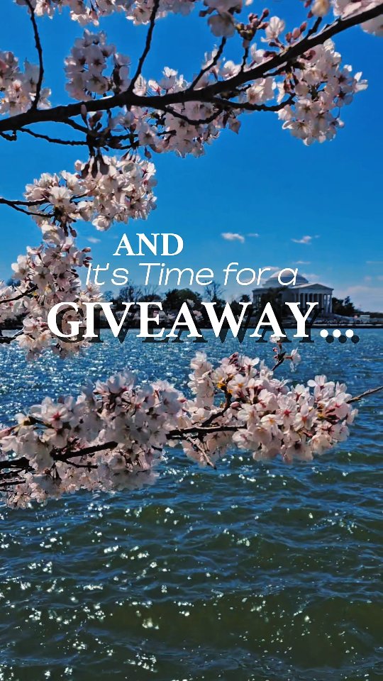 Peak bloom just popped off and yes… we’re obsessed with those soft, fluffy pink moments 🌸
So obviously — we’re doing a GIVEAWAY.
Time to serve petals and main character energy.
Drop your best cherry blossom shots from this season — whether it’s a dreamy snap of the blooms or a full-on main character moment. Your call.
✨ 3 winners. 3 chances to flex. 3 prizes:
🌸 $115 gift card for a 1-hour massage from @medicalmassagespecialties
🌸 $50 gift card to @DumplingDistrictUSA
🌸 $25 gift card to @ToiMoiBakery
Plus, winners get featured on our IG 👀
How to enter:
🩷 Follow @TheAmpMag
🩷 Like this post
🩷 Email 1–3 photos to marketing@theampmag.com with the subject: "Cherry Blossom.Submission" along with your name and IG handle
🩷 Emails must be received by Friday, April 10, 11:59PM ET
Goodluck!