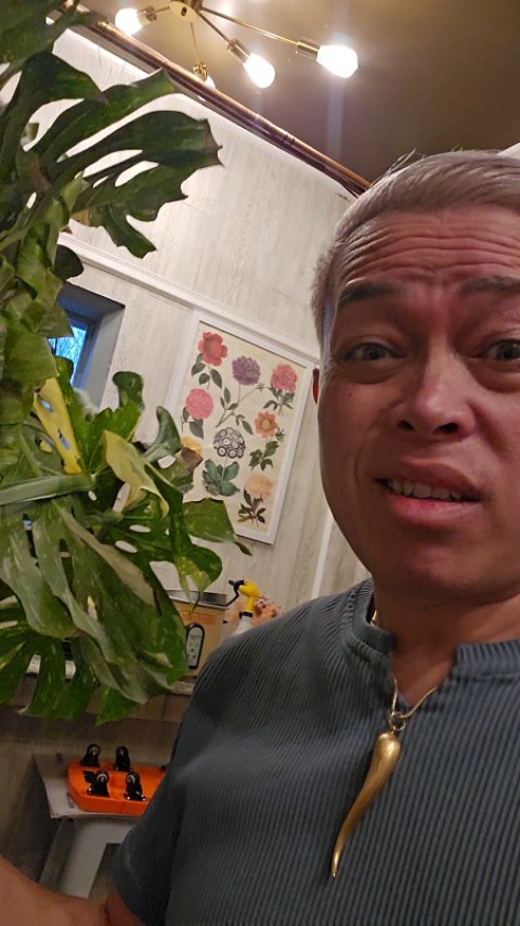 Sometimes even the plant guy has a moment… 🥹🌿
In today’s episode of “trust the process”… I accidentally snapped my prized Thai Constellation while trying to stake her 😭
Was I devastated? Yes.
Did I stare at it in silence for a full 30 seconds? Also yes.
But here’s the thing… in the plant world, mistakes turn into opportunities 🌱✨
Now she gets a second life through propagation 🙌 and honestly… this might be the start of something even more beautiful.
Reminder: even the pros break plants sometimes 😂 just means we’re growing too.
Stay tuned for the recovery + propagation journey 👀🌿
#ChicagoBloom #PlantLife #MonsteraThaiConstellation #PlantFails #PlantParenthood HouseplantClub UrbanJungle PlantCareTips Propagation PlantRehab RarePlants PlantCommunity IndoorPlants PlantsMakePeopleHappy PlantAddict GreenLife HouseplantHumor PlantStory BotanicalLife OopsMoment