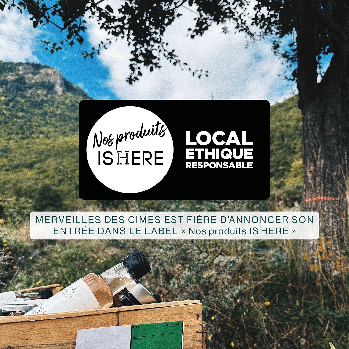 Un grand merci à @nosproduits_ishere pour la confiance et le soutien apporté à Merveilles des Cimes !
.
.
.
#merveillesdescimes #nosproduitsishere #agriculturebiologique