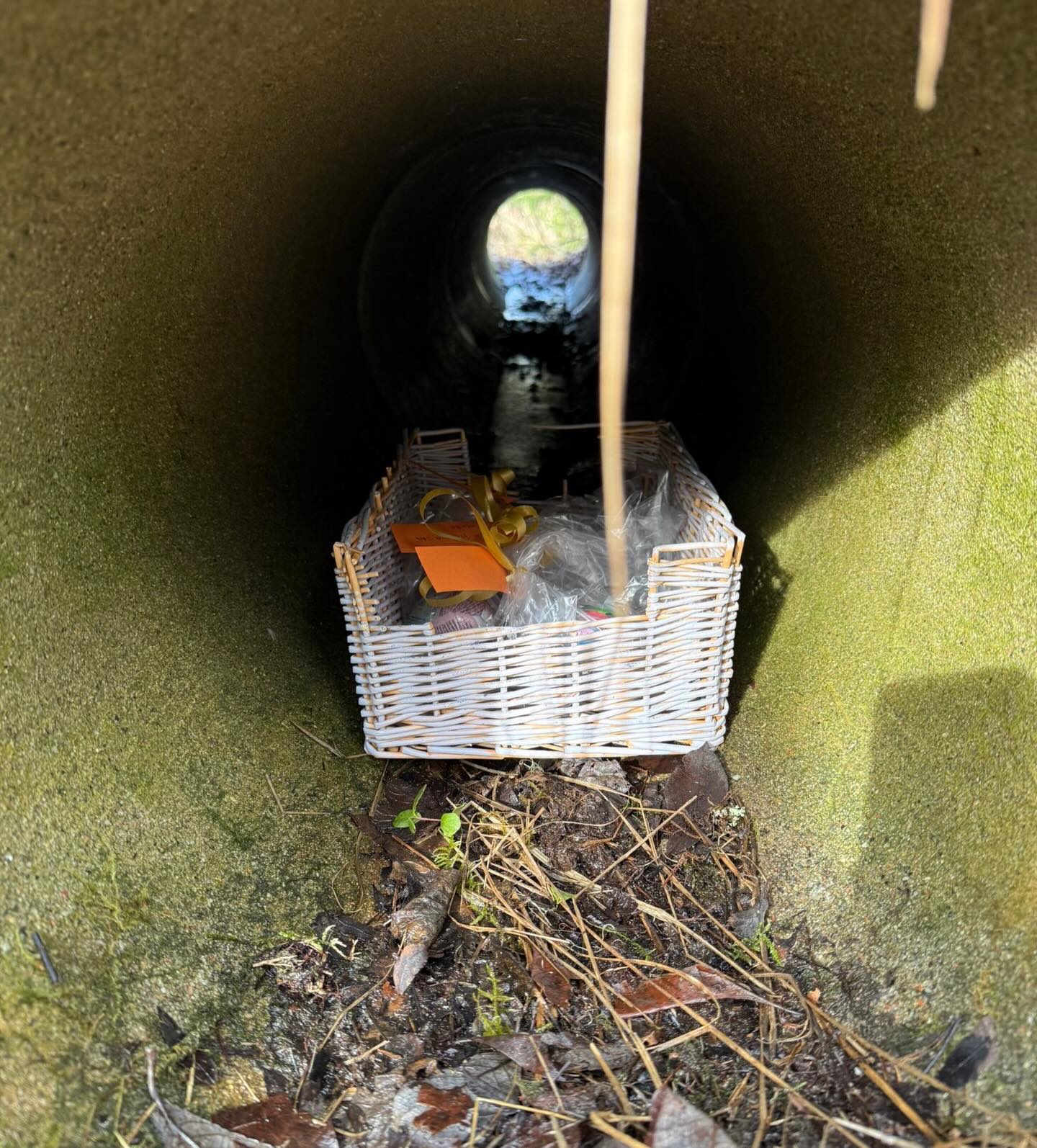 Hyvää pääsiäistä Villatossusta! 🐥🎉 Villatossussa järjestettiin tänään pääsiäismunajahti. Lapsille annettiin vihjeeksi kuva piilosta asteittain, jonka avulle he ryhmänä etsivät piilon. 🐣