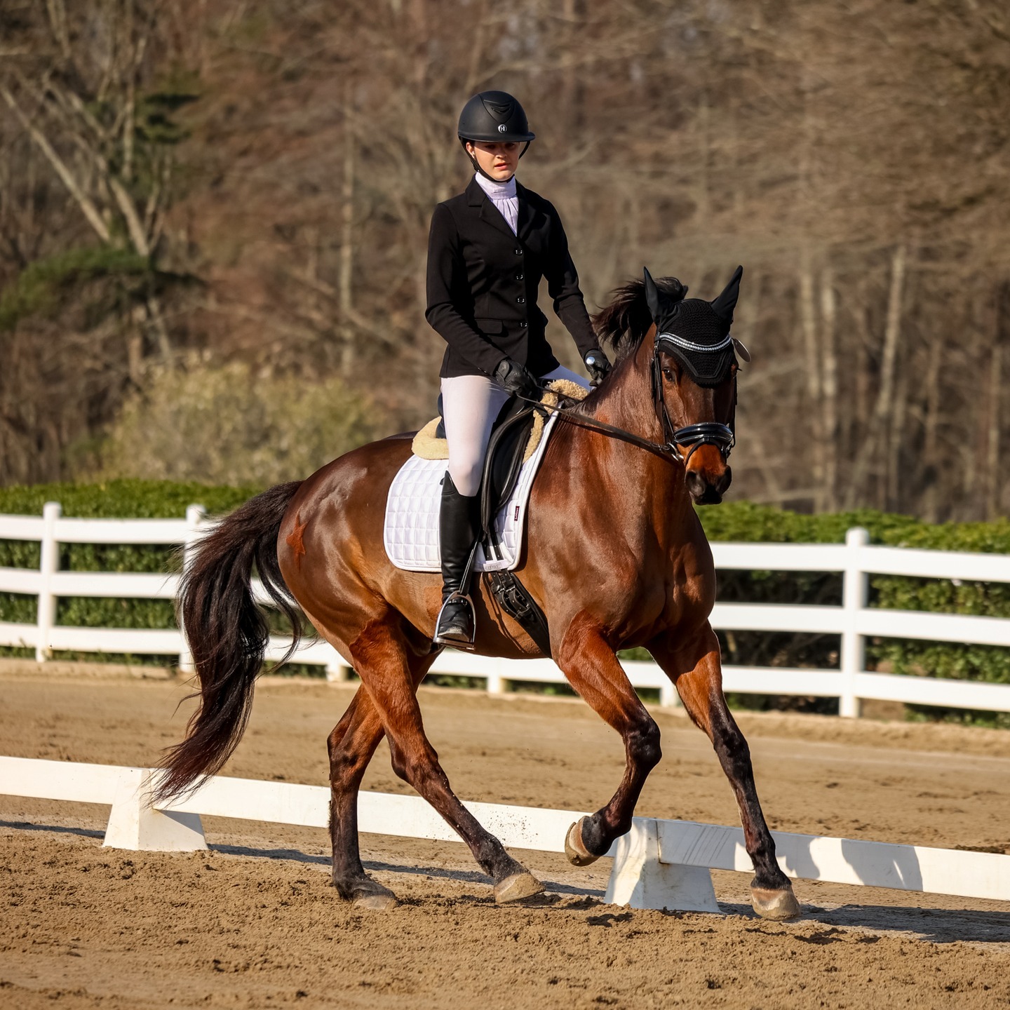 March @atlantayouthdressage photos are up!
Link in bio!