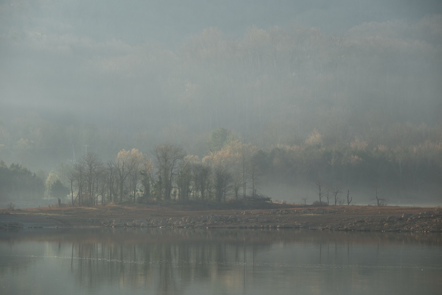 Cherokee Lake, Bean Station, TN
Camera: FujiFilm XT-5
Lens: FujiFilm 35mm f2.8
Tripod: 3 Legged Thing
No filter
#fujifilmx_us #photography #cherokeelake #netn #lakes