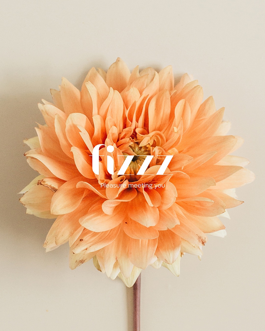 Better than flowers 😏 מתנות לחג שעומדות בציפיות.
גלו מגוון מארזים מהנים במיוחד עכשיו באתר.
#FizzzLove