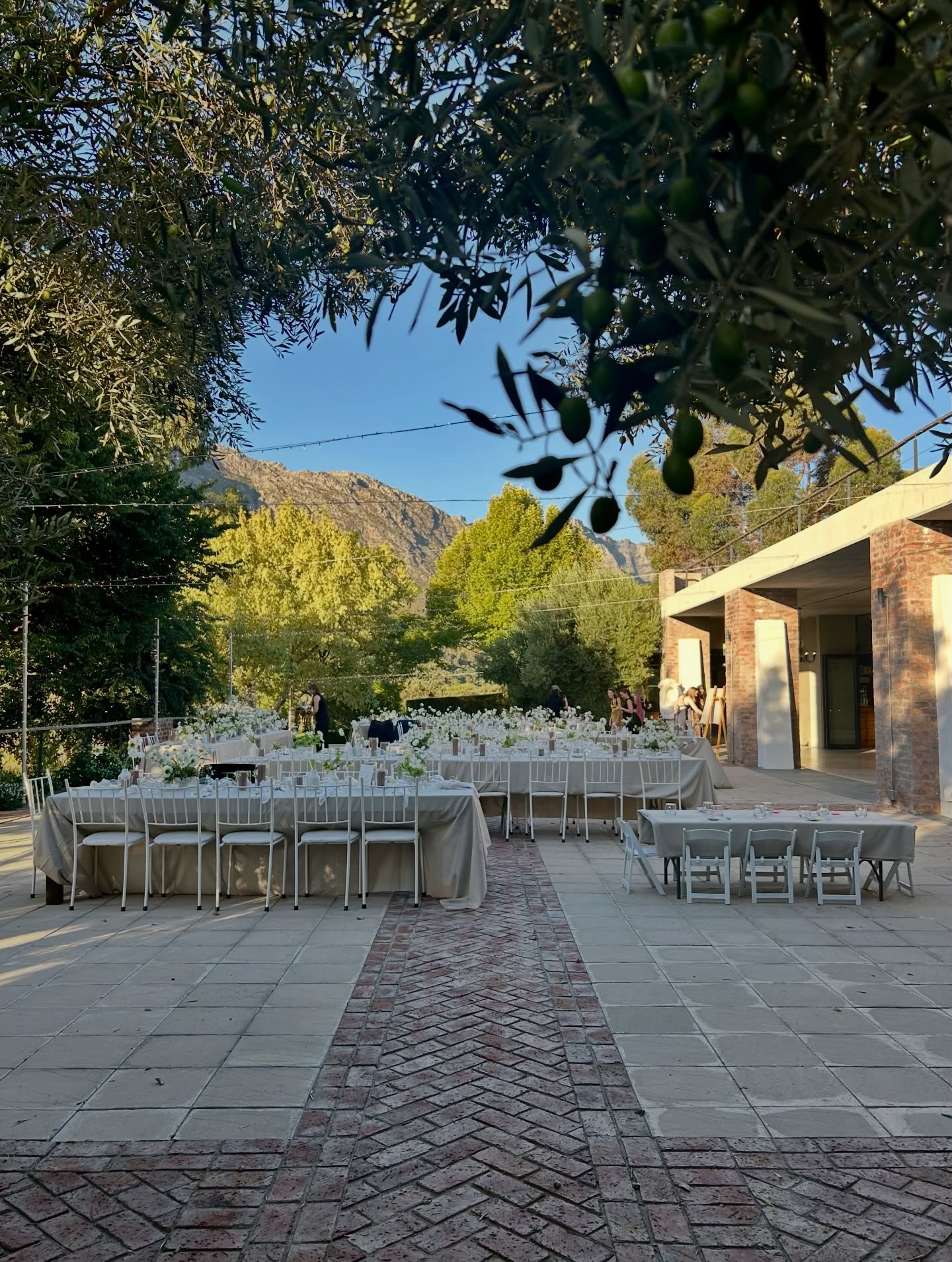 A little before 6pm and the courtyard is in shade waiting quietly for the guests to gather for dining and speeches.
Mountains in the backdrop lifting up to the suns final glance. It was a perfect day. Peaceful. Slow. Romantic. Elegant.
What more could one need for their wedding day.
#oliverock
#mountainwedding
@olive_rock_venue
@saweddings
@mustardandseed
@tulbagh