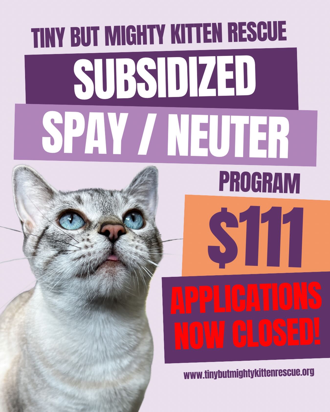 Applications for our subsidized spay/neuter program are now CLOSED.
We reached our limit of applications far sooner than expected, showing just how badly a program like this is needed.
This program relies on donations and volunteers to succeed. More spots will open as funding becomes available. Stay tuned for future fundraisers!
If you’d like to donate or sponsor a spay/neuter:
www.tinybutmightykittenrescue.org/donate
All donations are tax-deductible. Tax receipts are now automatically generated when you donate right on our website (via Zeffy). We also get 100% your donation with this new donation method. No fees involved!
We’re looking for volunteers to help transport cats to/from our vet on surgery days.
Join our Tiny but Mighty team:
www.tinybutmightykittenrescue.org/volunteer
Your support makes this possible. Thank you 💜