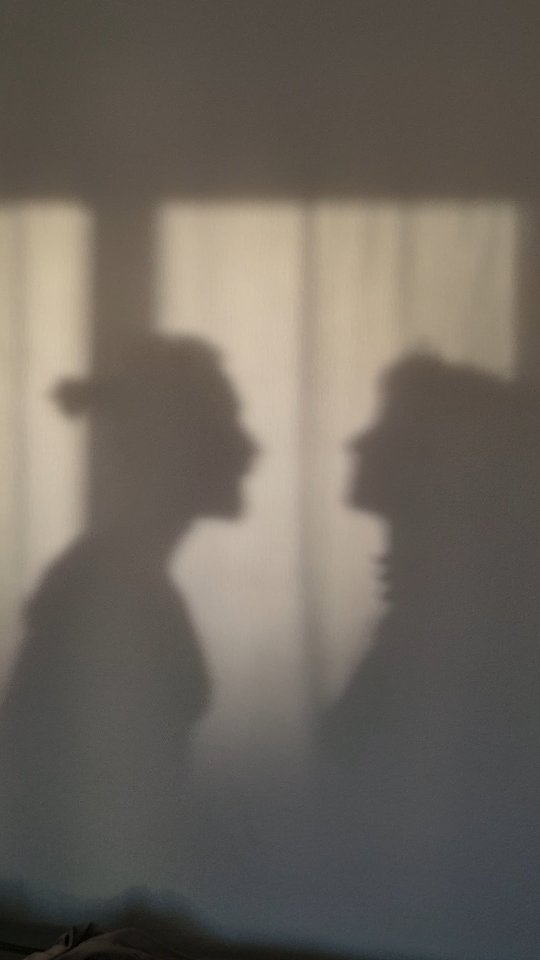 Double trouble ♡
To me, a relationship is not about finding the one who completes us, thinking we were incomplete before meeting each other.
I hope for you to find a love who is the cherry to your cake and not the main ingredient.
Find what makes you a fabulous cake; the rest might come.
And if not, a dog or a cat is an even better idea 😻