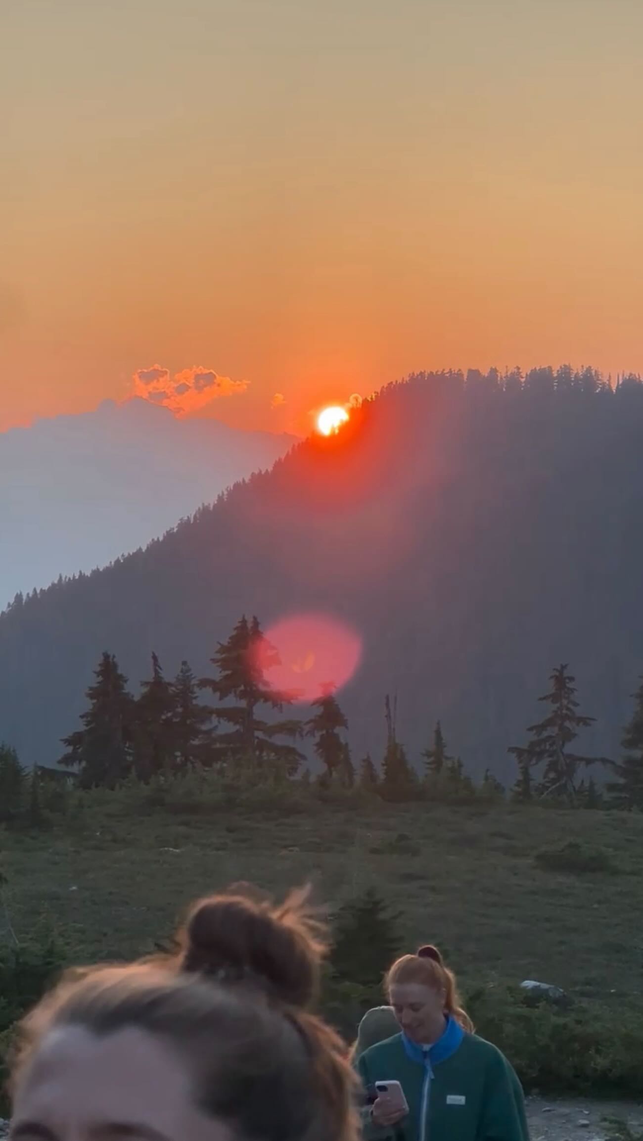 No ha sido mi decisión más fácil, pero si la más honesta
