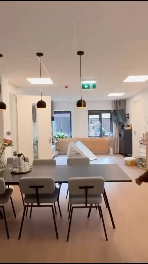 📍Locatie Laan van de helende meesters