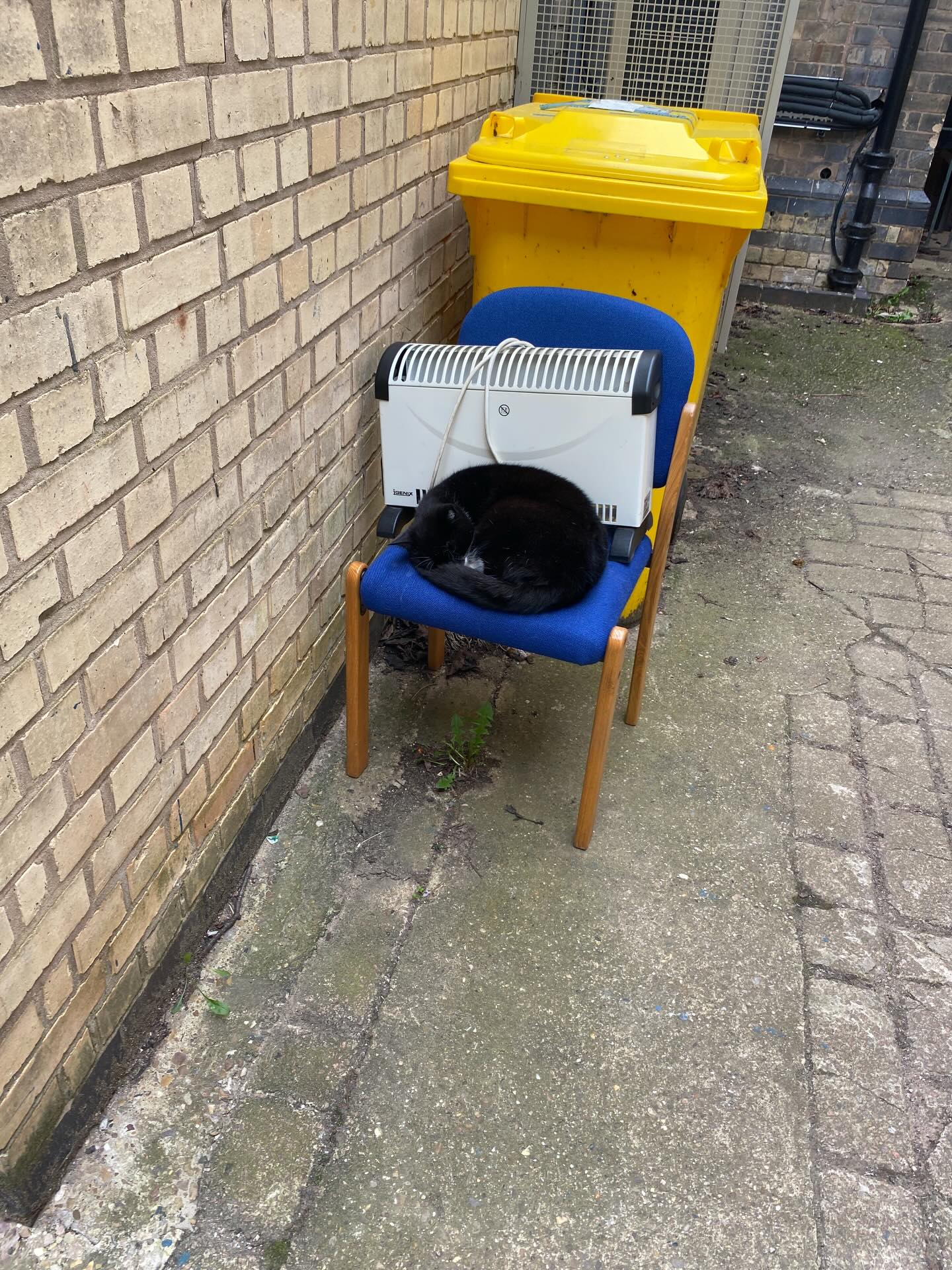 I’ve been doing some guest lectures at @nottinghamtrentuni Bracknhurst Campus and I came across this #cat, snoozing next to an electric heater yesterday. Obviously he doesn’t understand how important it is that it’s plugged in! 😂