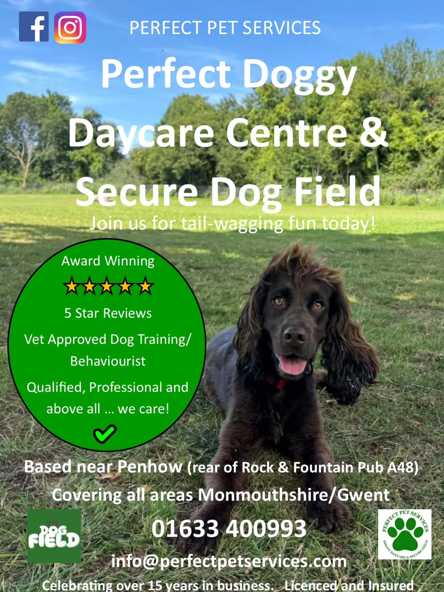 Try out The Dog Field 🌳 this Easter Holidays
The Dog Field @perfectpetservices