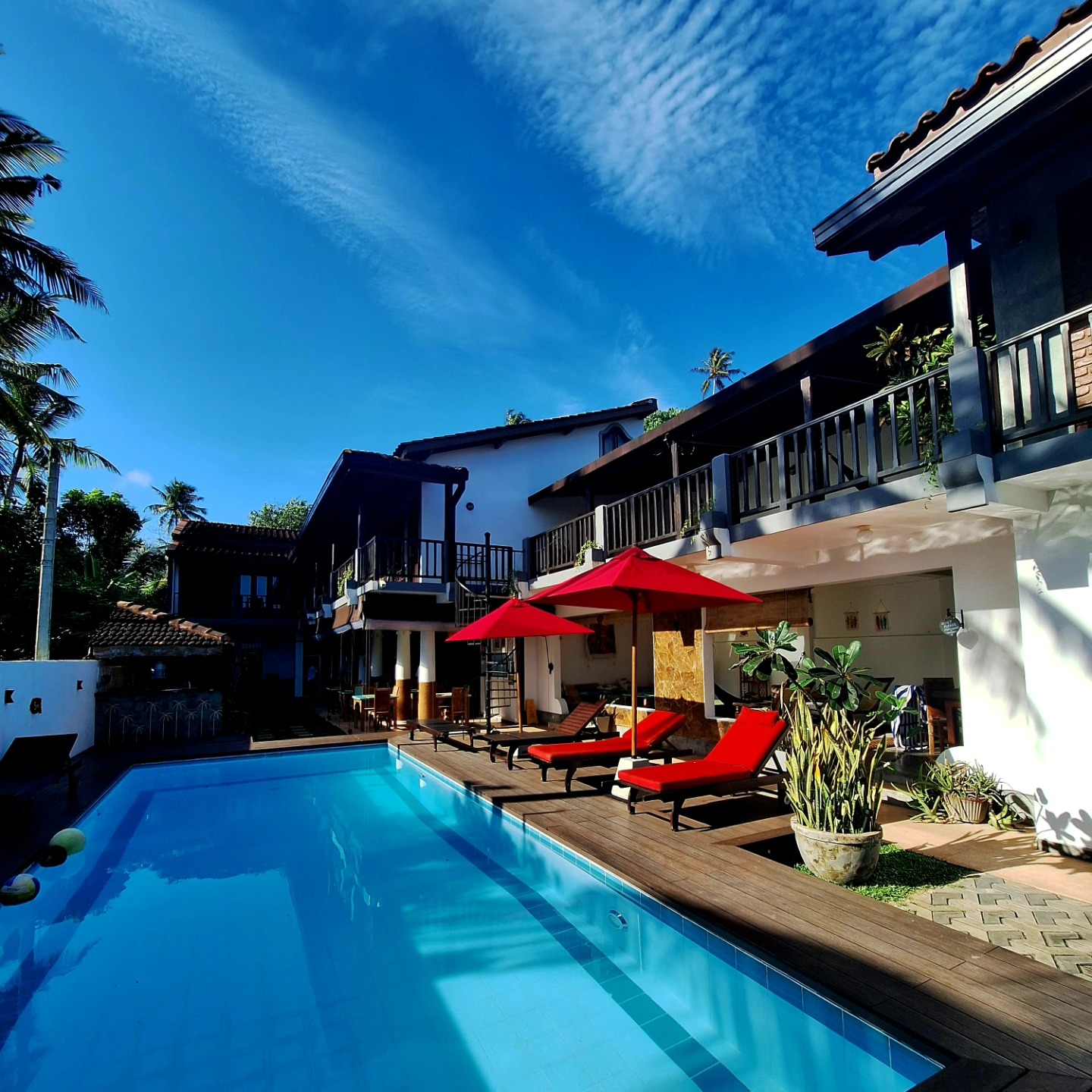 All new pool at Lion’s. composite decking, freshly grouted with new pump and filters installed.🏊
#pooldecking #compositedecking #supremeflooring
#beachsidehotel #srilankahotels #gurubebila #familysurfholidays #surfsouthsrilanka #endlesssummer #lionsrest
@familysurfco @supremefloors.lk