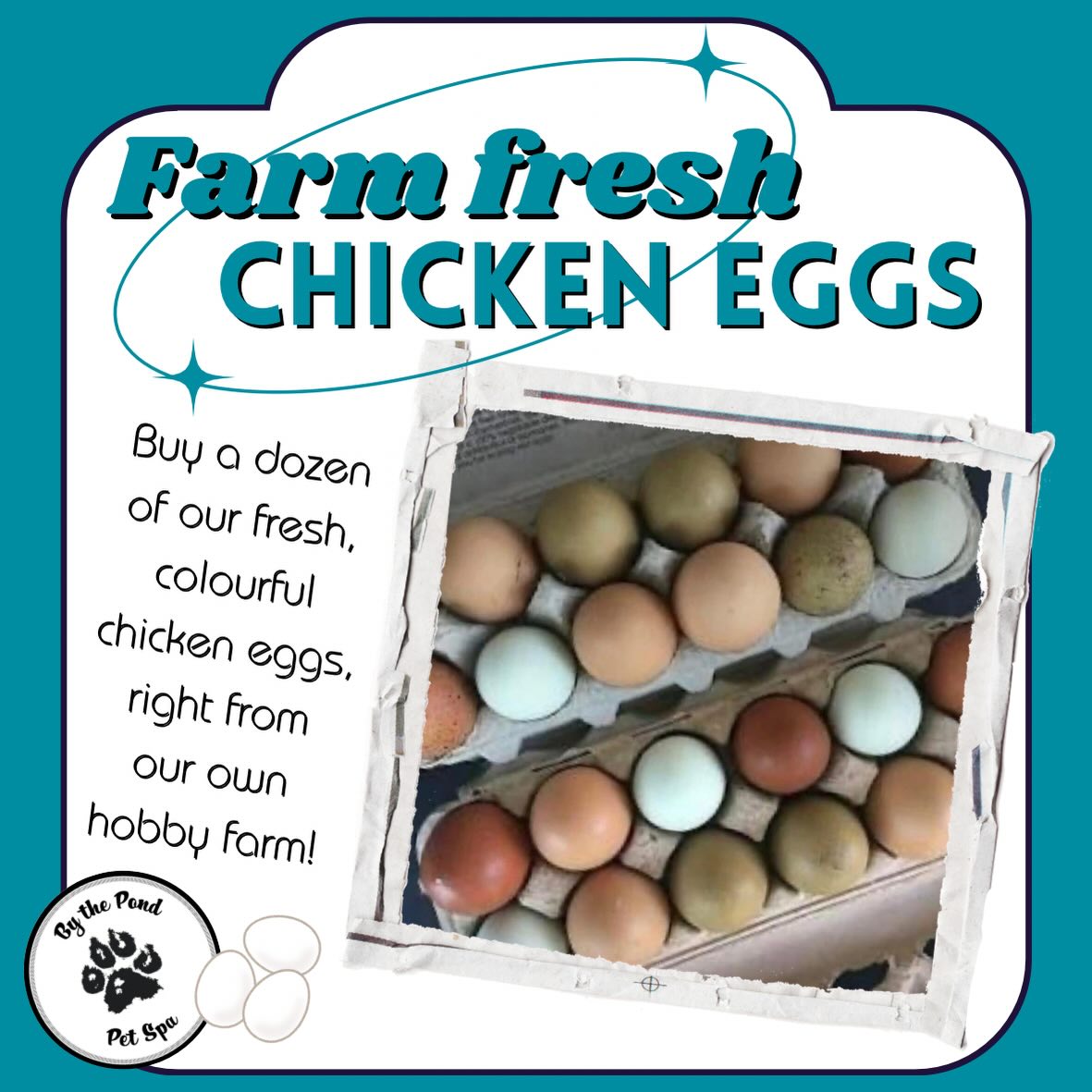 REMINDER: We have dozens of chicken eggs available for purchase! 🥚
Let us know if you’re interested in buying: 519 241-1552
#cambridgeontario #bythepondpetspa #chickeneggs #doggroom #doggroominglife