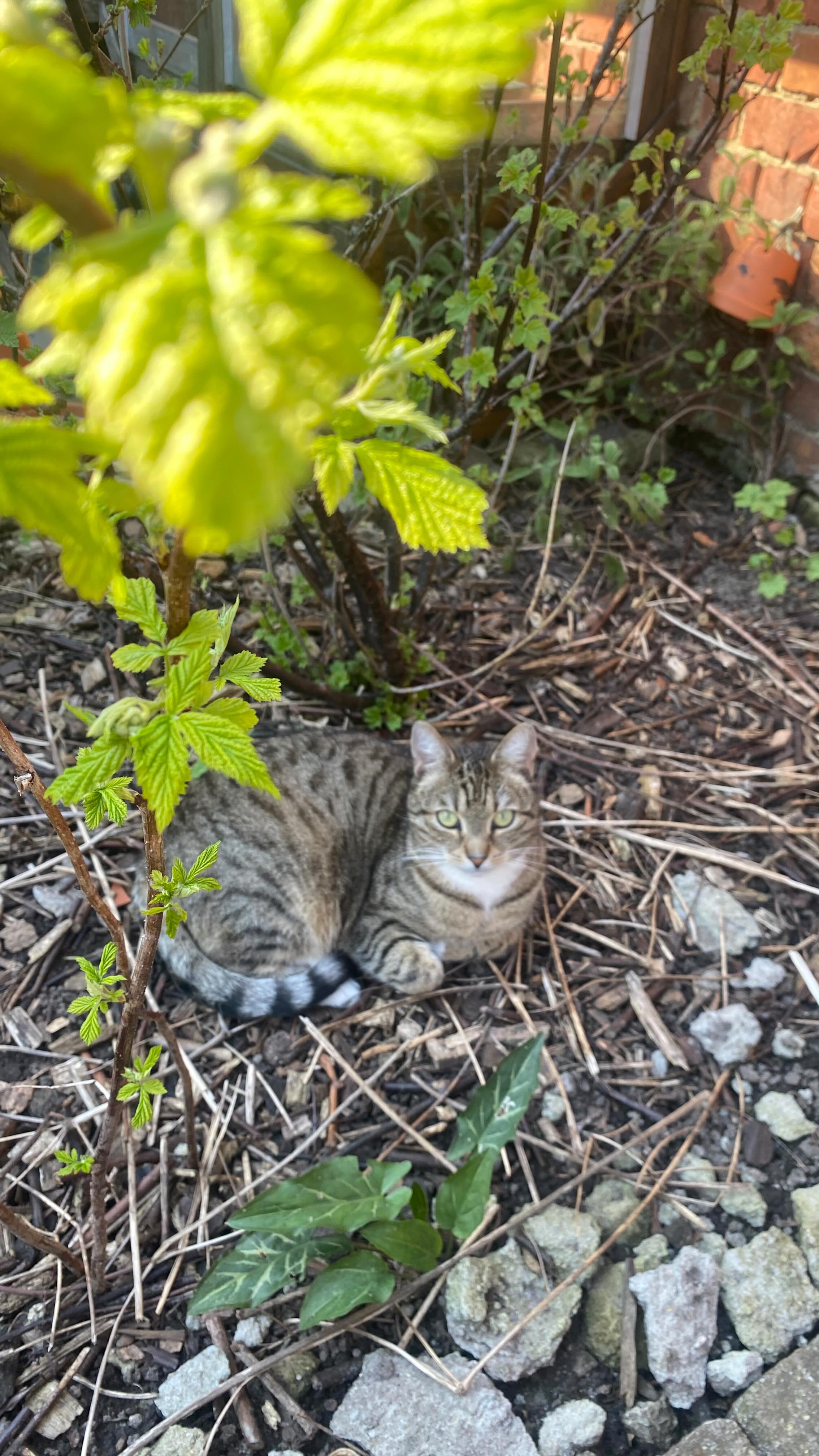 ** tu te reconnais dans LESQUELS 😌👀
1. Tu oublies de profiter des choses simples
→ Ton mental est en permanence en train de scanner ce qui pourrait aggraver tes symptomes
2. Tu dors plus mais tu restes épuisée
→ Ton corps réclame du repos, mais bizzarement meme quand tu dors bien tu es toujours fatiguée.
3. Tu as des fringales… et elles sont incontrôlables
→ Et ça, même si tu as bien mangé
4. Ton humeur change tous les 4 matins 👀
→ Irritabilité, larmes, joie passagère : tu te demandes si c’est toi, ton cycle ou ton déséquilibre hormonal
5. Tu repousses tout… même les trucs que tu aimes
→ Tu perds ta motivation et idem, tu te demandes si c’est pas juste “toi” et que tu es simplement “pas comme les autres”
•6. Tu surveilles ton poids en permanence
→ Même si tu sais que le SOPK n’est pas que ça, tu es obsédée par la balance
•7. Tu expérimentes toutes les “solutions miracles”
→ Tu testes régimes, compléments, application
•8. Ton cycle est un énorme flou mais c’est devenu aussi une obsession
→ Tu traques chaque retard de règles, chaque spotting, tu testes des choses, tu espères avec tes règles bientôt
9. Tu culpabilises après chaque écart alimentaire
→ Tu en es même arrivée à redouter les sorties
•10 Tu ignores parfois les signaux de ton corps
→ Tout fait tellement parti de ton quotidien depuis des années que tu ne sais plus si c’est normal ou pas.
Fatigue, fringales, douleurs, irritabilité : tu les raccroches à ton “identité” et tu te dis chaque fois que “ça ira mieux demain”
Tu as envie de reprendre les rênes ?
Redevenir ACTRICE de ta santé ?
Ecris “APPEL” pour qu’on en parle 💌