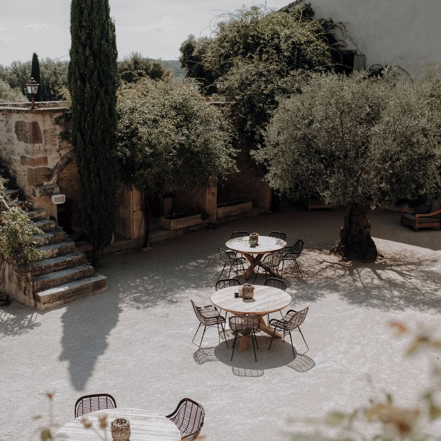 🌻 Y & J 🌻
05.08.2025
Le soleil de Provence et le chant des cigales
@lesdomainesdepatras
@pistouetromarintraiteur
@caravanepalace_events
#fleuriste #fleursmariage #mariageenprovence #weddingprovence #weddingflowers
