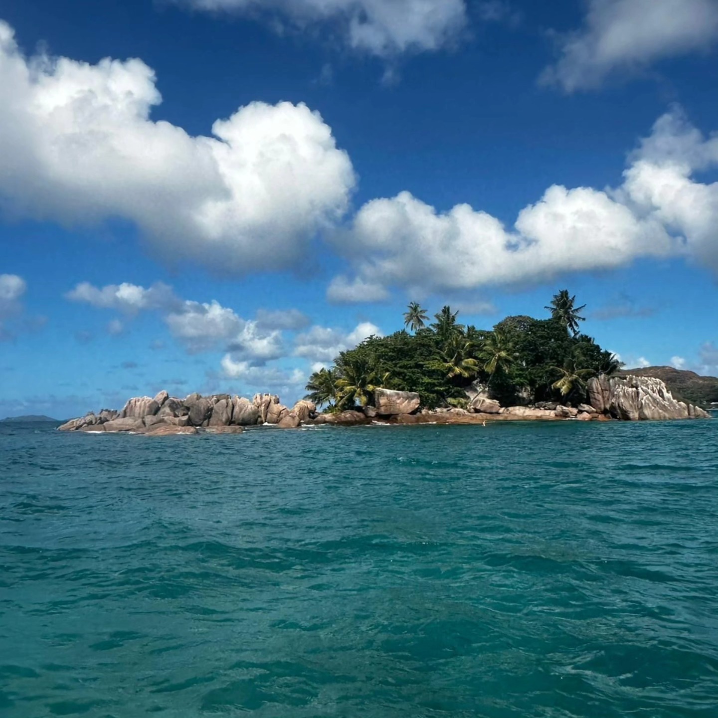 Loyalty_charter_seychelles 🇸🇨
Booked your Fullday and Halfday Boat trip with Loyalty Charter
Visit our website 🌐 www.loyaltycharter.com
WhatsApp us 📞 +2482583666 /+2482525707