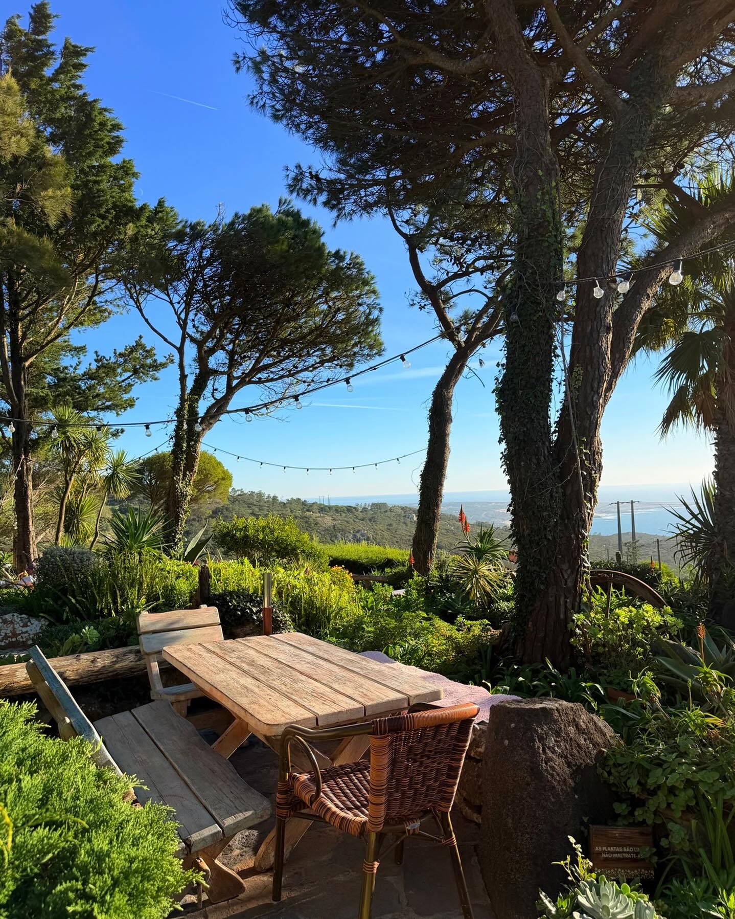Sábado com sol na esplanada. ☀️
Há dias que pedem apenas isto, boa companhia, sabores que chegam à mesa e a alegria de estar com as melhores companhias.
Hoje é um desses dias. Vemo-nos aqui? 😁
Reserva a tua mesa para grupos em moinhodomquixote.com
______________
A sunny Saturday on our terrace and gardens. ☀️
Some days call for just this, good company, flavours arriving at the table and the joy of being with the people you love.
Today is one of those days. See you here? 😁
Book your table at moinhodomquixote.com
#MoinhoLovers #MoinhoDomQuixote #Sintra