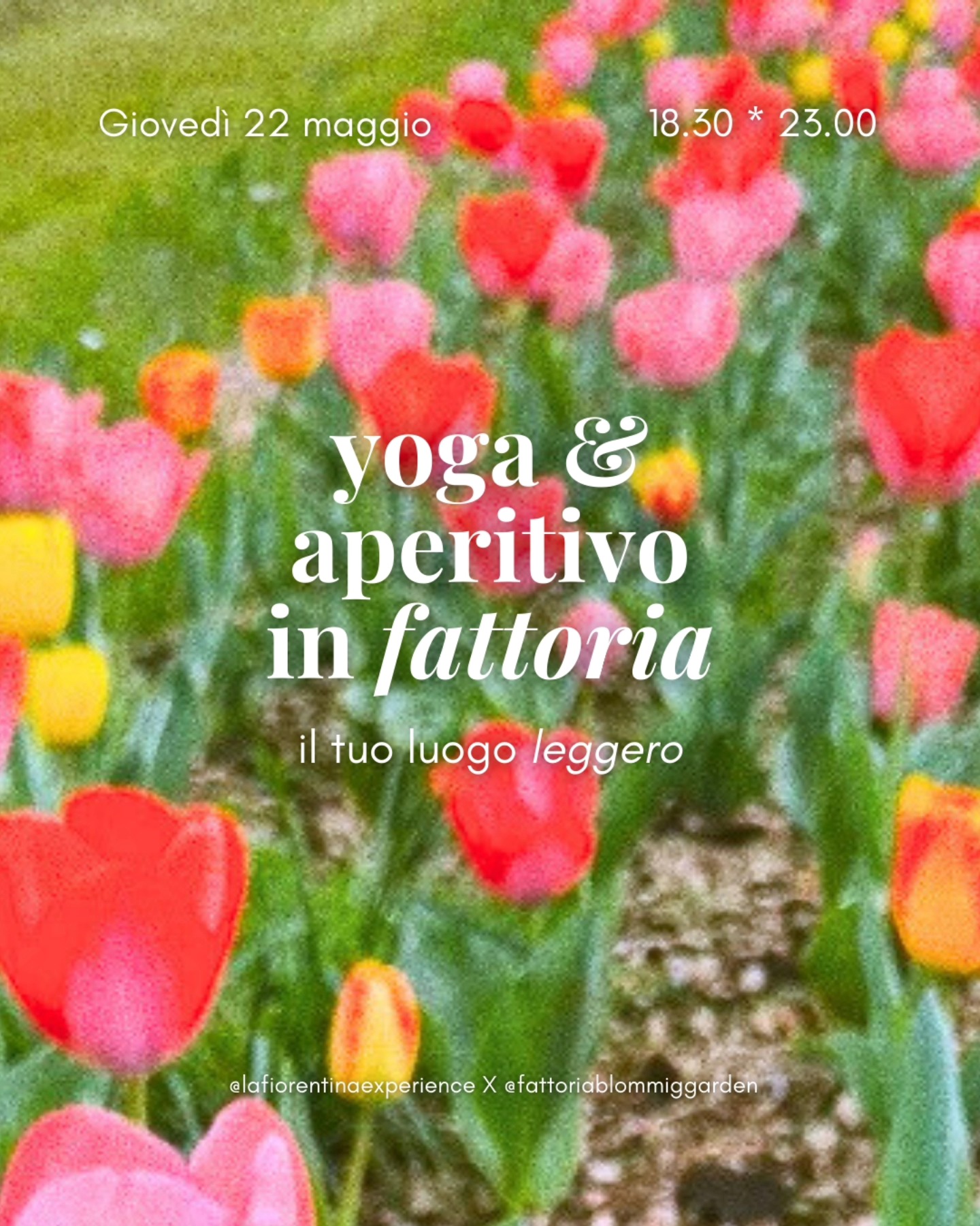 Inspira, fiorisci, vivi 🤍🌸☀
📅 mercoledì 18 giugno | 🕥 18:45 – 23:00 @fattoriablommiggarden
🧘🏼♀️ Una speciale sessione yoga, dedicata alla riscoperta di te, al rifiorire, a contatto con la natura, guidata da Eleonora @lafiorentinaexperience
tra yoga, pranayama, somatica, danza, sound bath, meditazione - adatta a tutti ✨️
🍓 Un delizioso aperitivo vegetariano: tra mangiarini dell’orto a km 0 & drinkettini
♡ benessere psicofisico
♡ tempo per te
♡ relax e reset your mind
♡ gusto & convivialità
♡ community
💐 Condividi con chi ami e crea nuove amicizie, ricordi indimenticabili!
Ti aspettiamo Violetta & Eleonora 🤍🌸
💌 DM per info
INHALE - BLOOM - LIVE
📅 18 june | 🕥 18:30 - 23:00 @fattoriablommiggarden
A yoga session, dedicated to spring, rediscovering you, in touch with nature, led by Eleonora
yoga, pranayama, somatics, dance, sound bath, meditation
A delicious vegetarian aperitif: 0-km garden eats & drinkettini
♡ psychophysical well-being
♡ time for yourself
♡ relax & reset your mind
♡ community
💐 Share with those you love and create new friendships, unforgettable memories!
We are waiting for you Violetta & Eleonora
#eventibenessere
#benessere #benesserenaturale #natura #yoga #yogainfattoria #evento #toscana #fattoria #animali #kmzero #km0 #scandicci #yogafirenze #yogascandicci #aperitiviprimaverili #aperitivifirenze #eventifirenze
