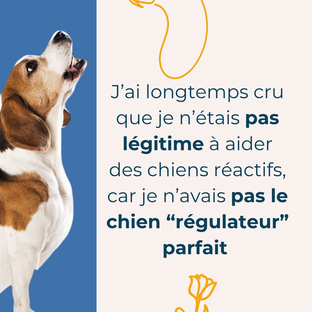 Tu te souviens de la dernière fois où tu as hésité face à un chien réactif ?
Parce que tu aimerais aider à sa communication mais tu ne veux pas mal faire, et tu ne veux pas non plus mettre ton propre chien en porte à faux
Moi aussi j'ai longtemps cru que sans le "bon" chien à la maison, je n'étais pas légitime. Aujourd'hui j'accompagne des dizaines de cas de réactivité — et je n'ai plus de chien.
Ce n'est pas ton chien qui fait ta compétence. C'est ton regard.
Et c'est exactement ce qu'on vient affiner ensemble les 14 & 15 avril à Chavanod (74) — avec Carolle Sayagh, sur le terrain, avec des chiens réactifs de ma clientèle, et ton chien si tu veux voir ses capacités d’aide, son super pouvoir de communicant !
Glisse les vignettes pour voir ce qui t'attend
📅 14 & 15 avril
📍 Chavanod (74)
💰 360€ 🎁 310€ tarif fidélité
Places limitées
Commente RÉACTIVITÉ ou écris-nous : stagecanin74@gmail.com
Avec @je_guide_jeduque et @emilie.complicimots 🐾