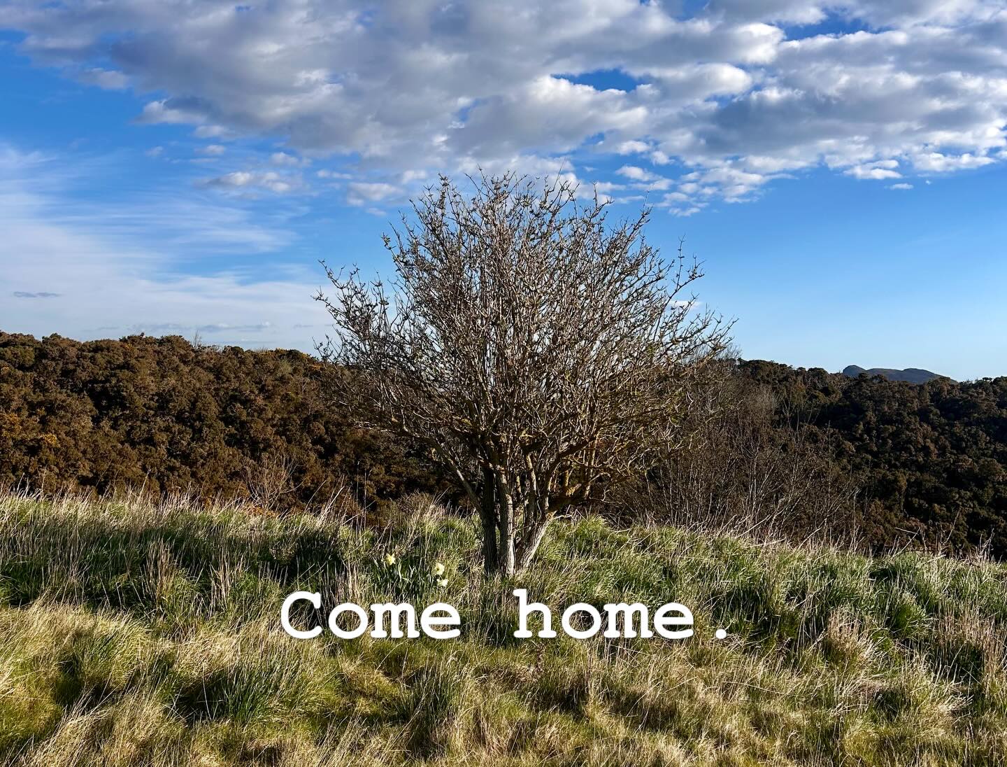 Nature is our home. You can find it wherever you live. From the tiniest houseplant to the weeds at the edge of the road.
Nature reminds us of who we truly are.
It