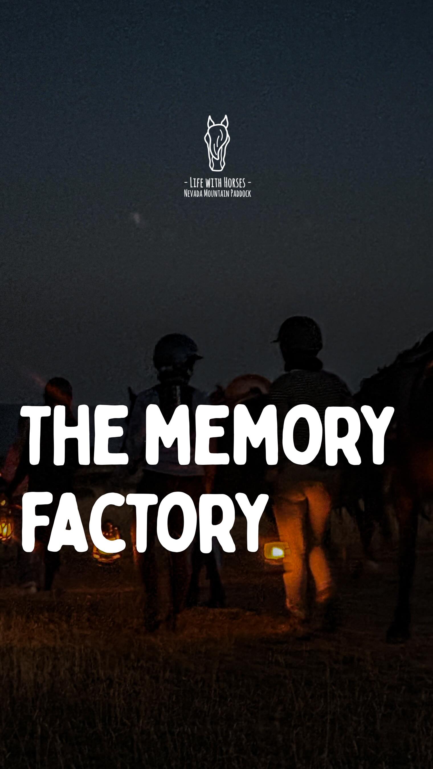 Tu te souviendras de quoi, toi?
Parce que ce qui compte pour nous, c’est de te faire vivre une vraie immersion,
où chaque instant compte,
et où le lien avec le cheval qui t’accompagnera restera gravé.
🇬🇧 Because what matters to us is to let you experience true immersion,
where every moment counts,
and where the bond with the horse that will accompany you stays with you.
🇦🇩 Perquè el que ens importa és fer-te viure una immersió real,
on cada moment compta,
i on el vincle amb el cavall que t’acompanyarà es queda amb tu.
#ridewithconnection #memories #horsejourney #horsebond #southoffrance