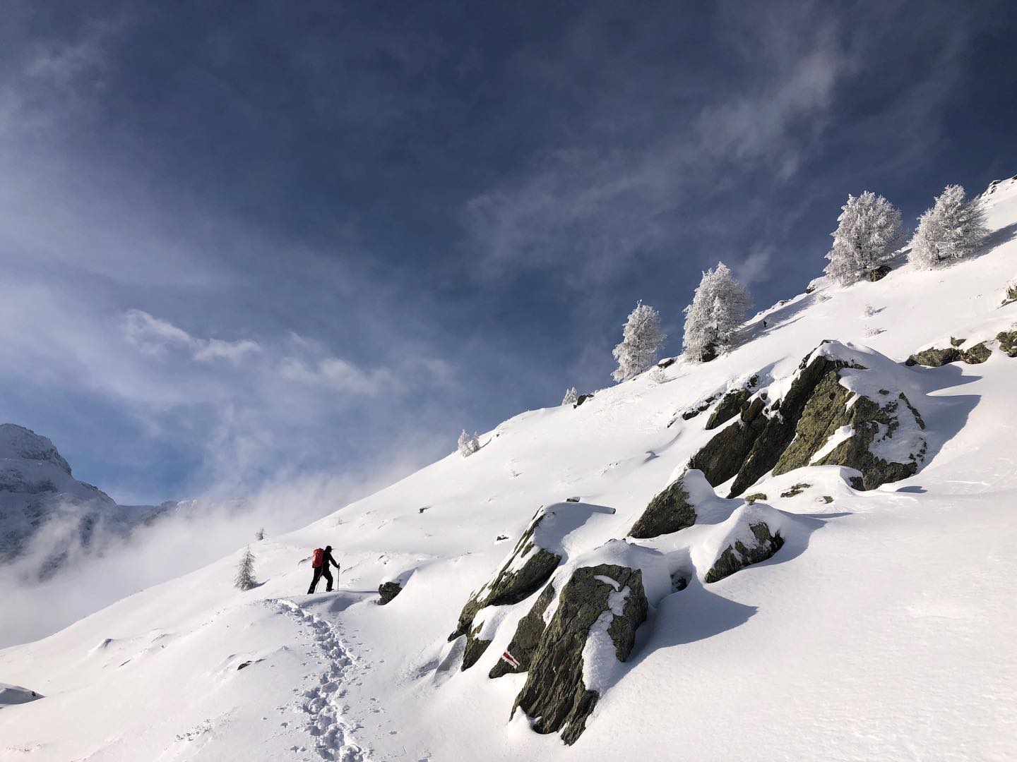 L’hiver a été rempli de belles rencontres et sorties en raquettes (ou à pieds selon l’enneigement), toujours un bonheur !
Prêt•e pour la saison de rando ?! 🥾🏔️🌲🌼🪶