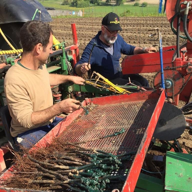 Letzten Freitag haben wir bei uns und bei einem Berufskollegen neue Weinreben gepflanzt. Gemeinsam mit dem Lohnunternehmen Gasser aus Hallau und ihrer Planzmaschine haben wir an diesem Tag über 2000 Weinreben gepflanzt. .
.
.
#rebbau #weinberg #weinbau #weinbaubetrieb #wein #grüningersrebbau #familienbetrieb #frühling #rebensetzen #reihe #triboltingen #müllerthurgau #arbeit #ermatingen #untersee #thurgau #weinzeit #winzer #reben #bodensee #sonne #schönwetter