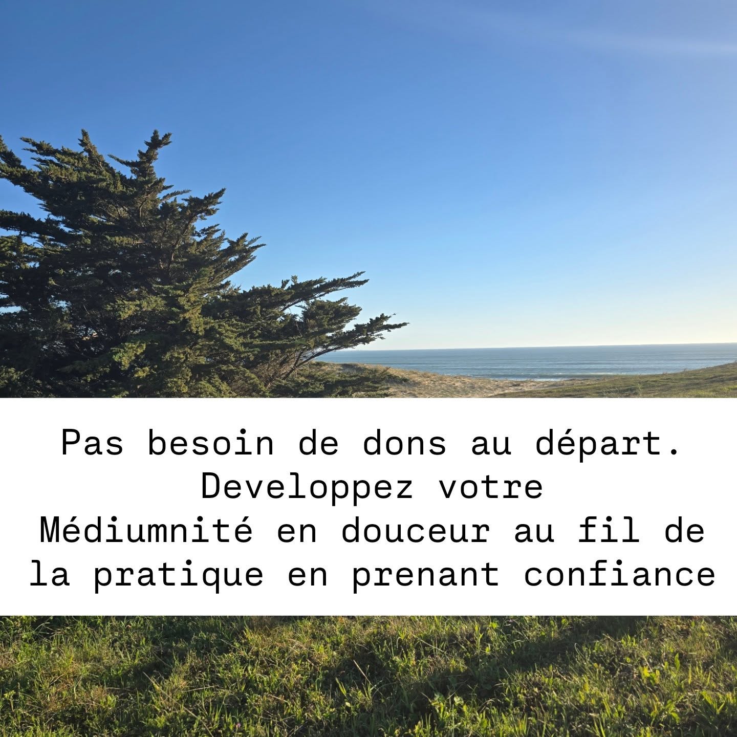 Un atelier gratuit pour découvrir les premiers signes de votre médiumnité.
Un cercle pour vraiment la découvrir, pratiquer et approfondir.
Cet espace a été pensé pour celles et ceux qui souhaitent développer leur sensibilité, leur intuition et leur médiumnité dans un cadre sérieux, bienveillant et progressif.
Au fil de la pratique, des mois, on gagne en confiance, en ressenti et en clarté.
Lien vers la reservation (instagram) ci-dessous ⬇️
Sur mon site en bio ou story ou canal nouvelles fraiches