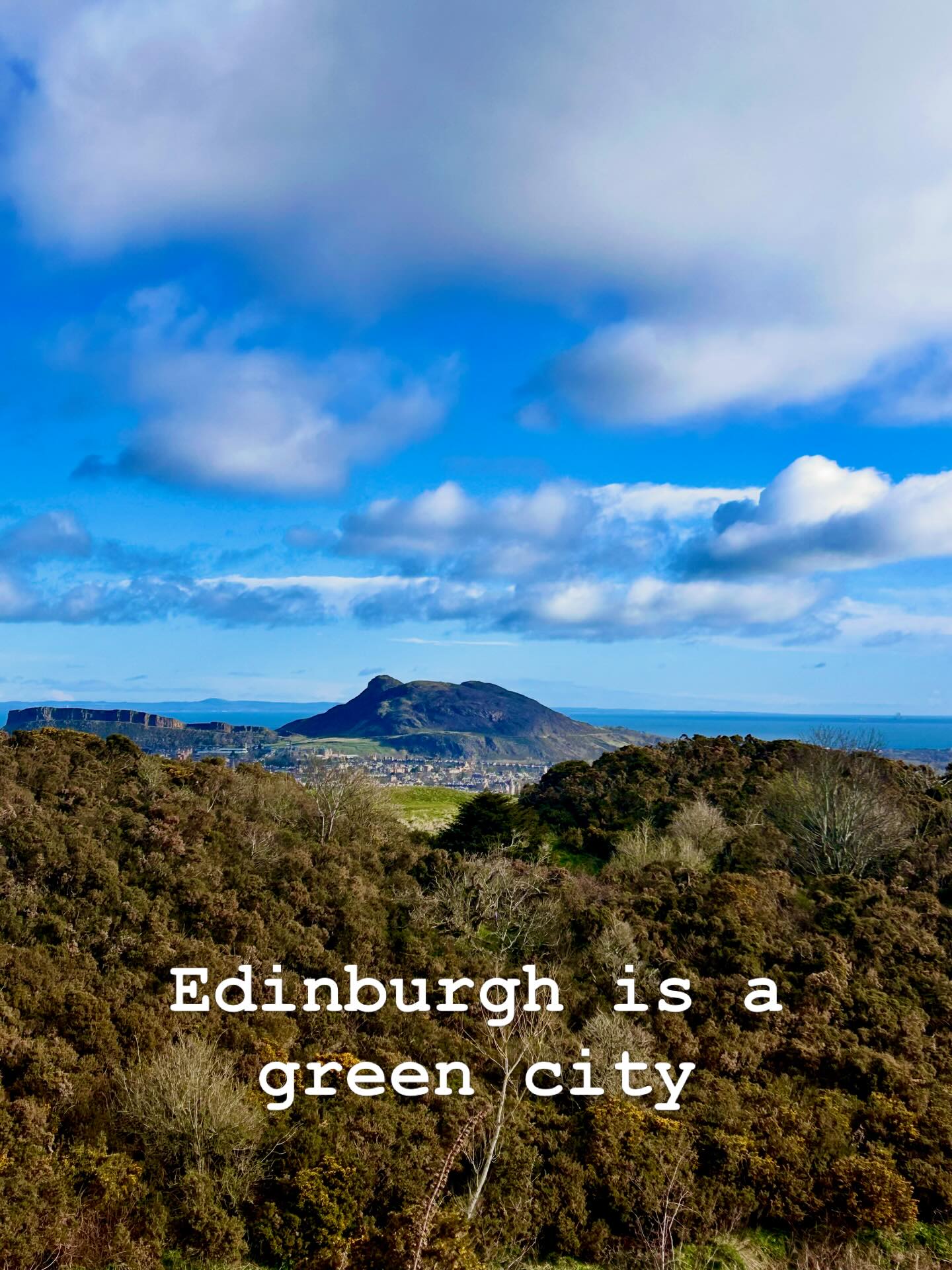 When you stop. Switch off your tech. Remove your headphones. Your body can finally relax.
Even two minutes makes a difference.
Imagine the difference two hours makes.
#forestbathing #forestbathing🌲🌲🌲 #forestbathingscotland #forestbathingtherapy