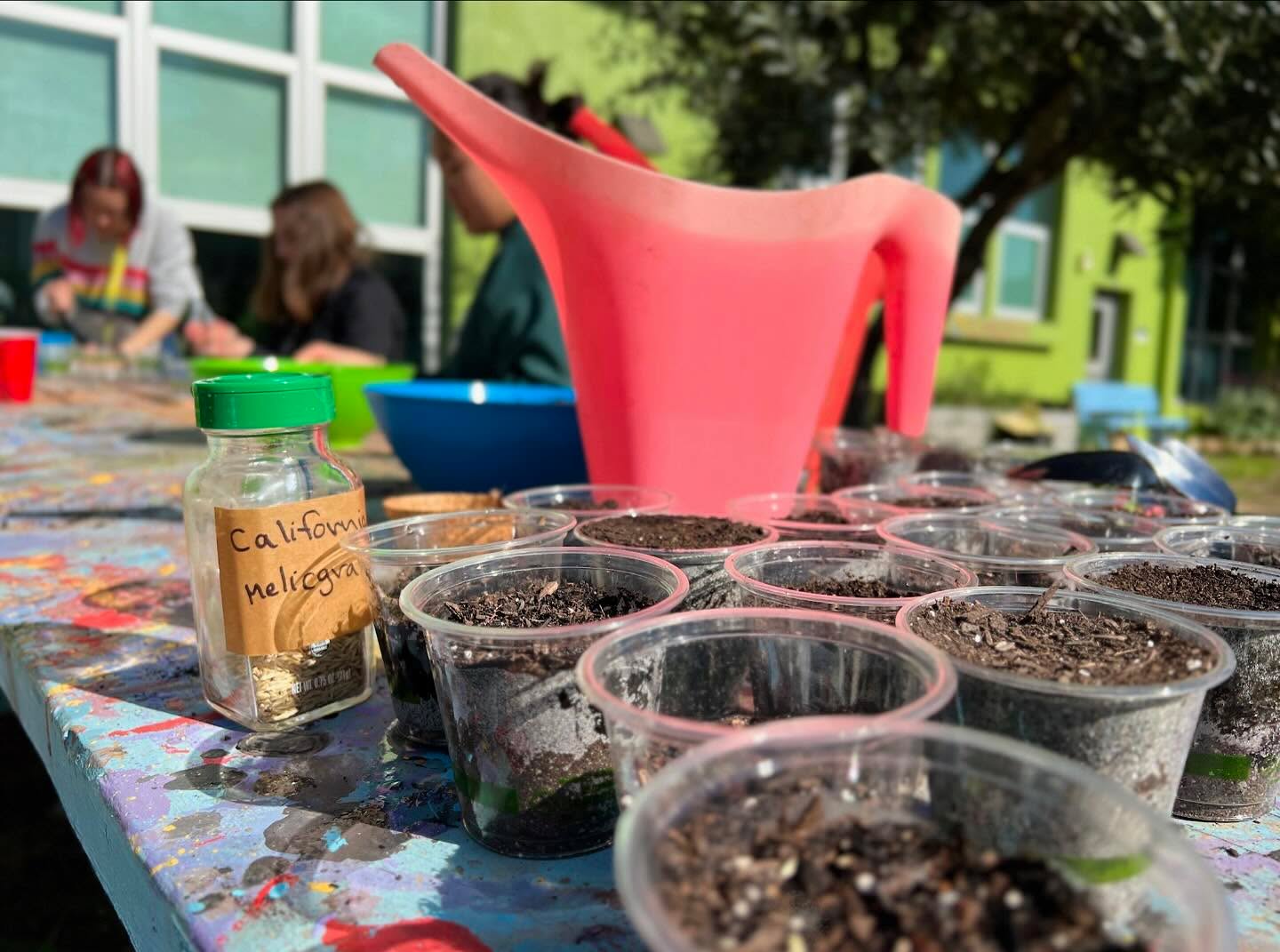 Presenting and planting with Hillcrest Elementary School 4th/5th graders earlier this year! 🪴