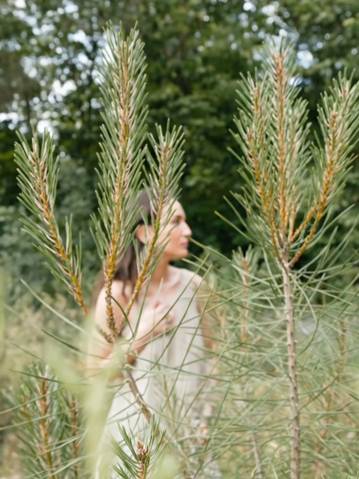 ✨La nature est essentielle✨
Les arbres nous ancrent,
nous relient, nous font respirer✨
🌙Chaque bijou naît de cette force vivante,
inspiré par la nature et façonné à la main✨
🌙Des pièces uniques, pensées comme des talismans✨