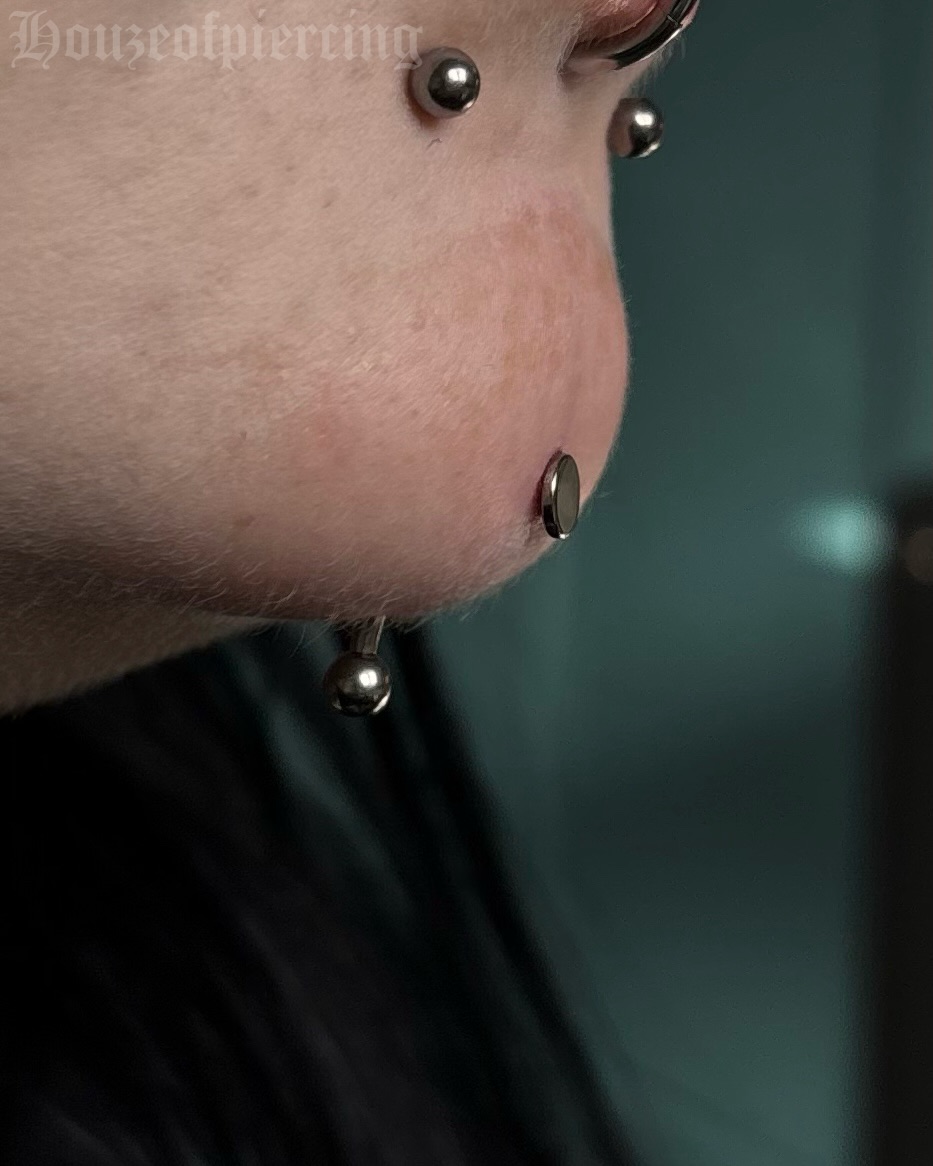 Queue skipperrrr 🫵 👁️👁️
A first for me and hopefully not the last! Fresh chin / chintina (chin christina) piercing for Samhain 🖤 thank you so much for trusting me with this, I had an absolute ball performing it for you!!
prepped with @purklenz
pierced with @probodyart
jewellery from @inariorganics @inariorganics_uk
cooled with @neilmedpiercingaftercare
supplies from @probodyart and @holymountainsupplies
🖤 @venusinfurs.ie 14 Exchequer St, Dublin 2
⛓️ Tuesday to Saturday, booking link in bio
#piercing #piercer #facialpiercings #chinpiercing #mentopiercing