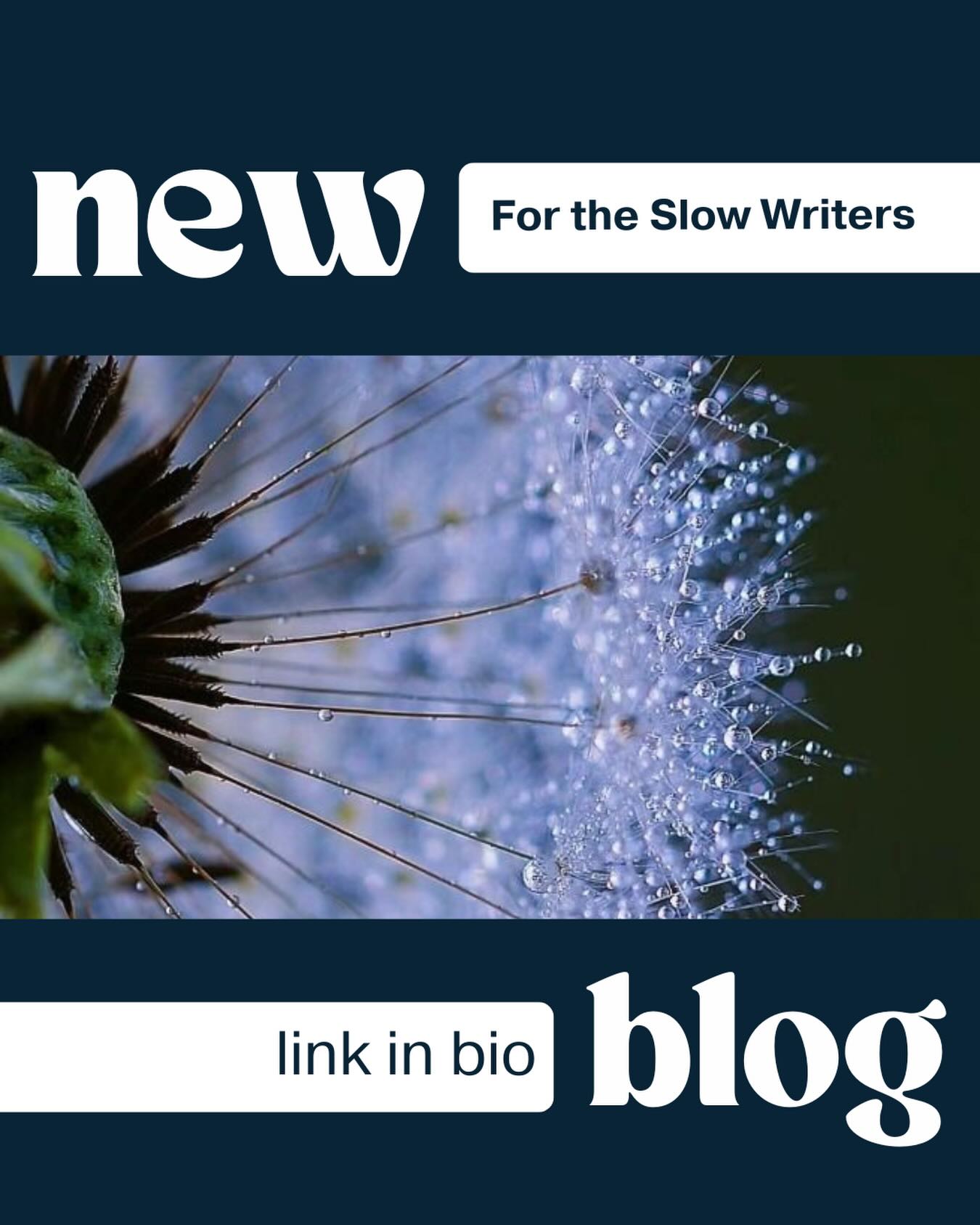New blog post is up and this one is for the slow writers.
After my recent post about writing slowly, I received so many comments and DMs from writers saying they felt exactly the same.
It resonated way more than I expected, and I ended up having some really lovely conversations about feeling behind, taking longer than planned, and wondering if we’re doing this whole writing thing wrong.
So I decided to expand on it properly.
This blog is about being a slow writer, comparing yourself to everyone online, and realising that taking longer doesn’t mean you’re failing — sometimes it just means you care too much to rush the story.
If you’ve ever thought
“I should be further along by now”…
this one’s for you.
🔗 You can read the full post via the link in my bio
#amwriting #writersofinstagram #writingcommunity #aspiringauthor #writingabook writerslife amediting