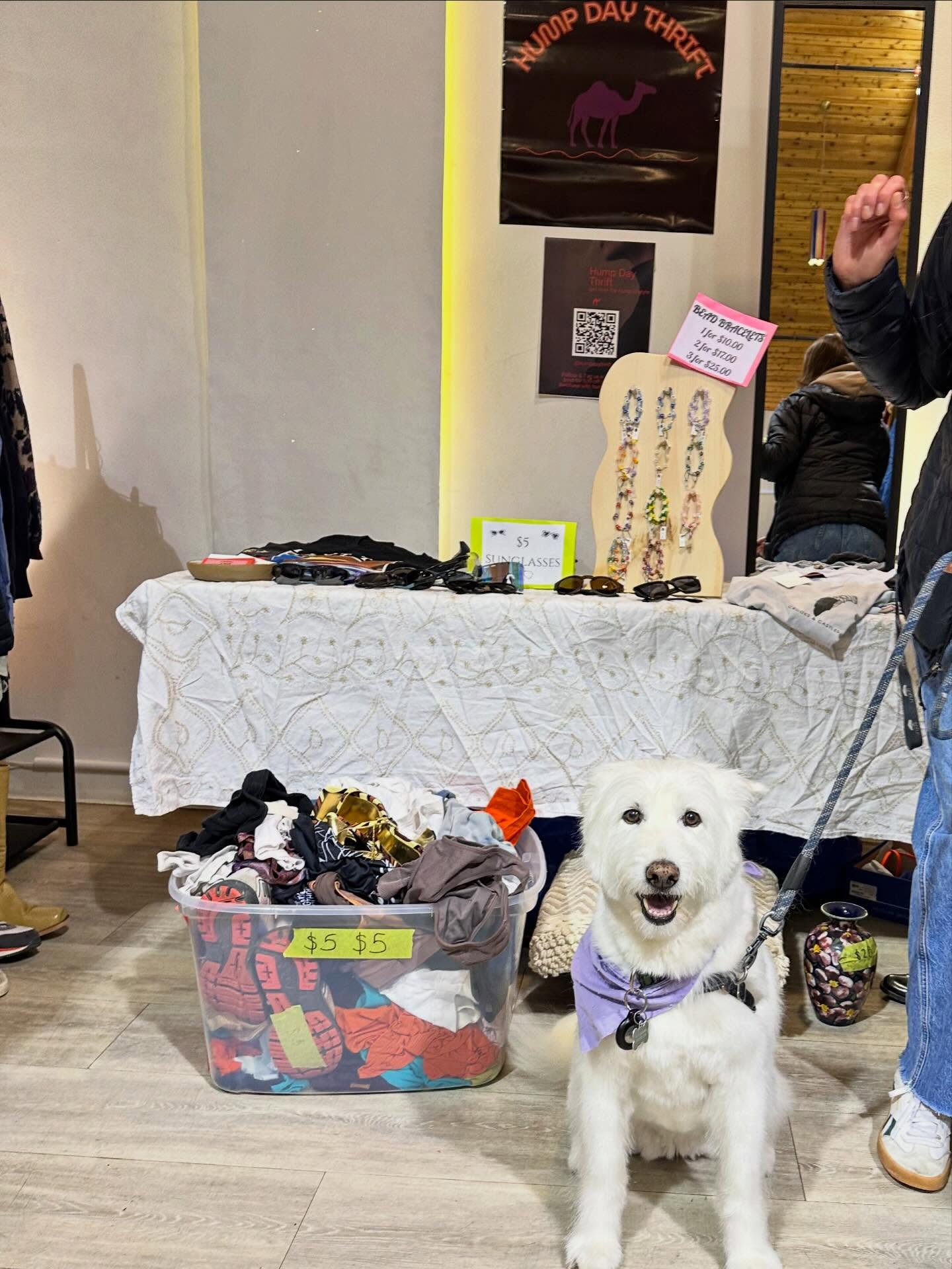 Dogs that stopped by our booth today! @calgaryracksale
Thank you all for sharing the love and pups!
🌈🐪✨🥹
#thrift #calgary #racksale #vendor