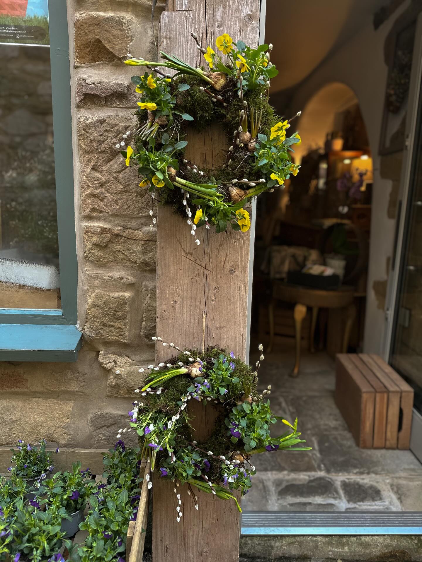 Outside the shop and ready for the weekend (if they are not already snatched up)
Living spring wreath - bringing a touch of spring right to your doorstep with our beautiful living wreaths — perfect for Easter or simply celebrating the season.
Each wreath is ever-changing, growing and evolving day by day, so no two are ever the same. It’s a little piece of nature you can enjoy all season long.
All you need to do is sit back, relax, and enjoy the beauty… (just don’t forget to water it)