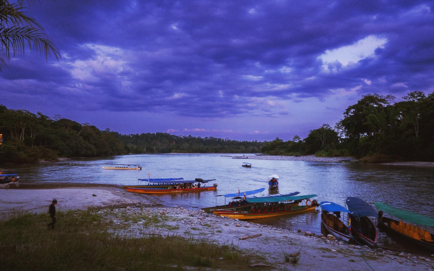 Colorful evening on the napo river—one of the best ways to get to know the river is by canoe🛶
For generations our relatives travelled up and down river by canoes, visiting other communities, fishing or looking for salt. In just a generation life changed with the introduction of roads, yet canoes still remain a necessity as many communities produce their foods from small islands within the river or work in tourism where they take canoe trips to key bio-cultural hotspots within the region
📸: @nengabug