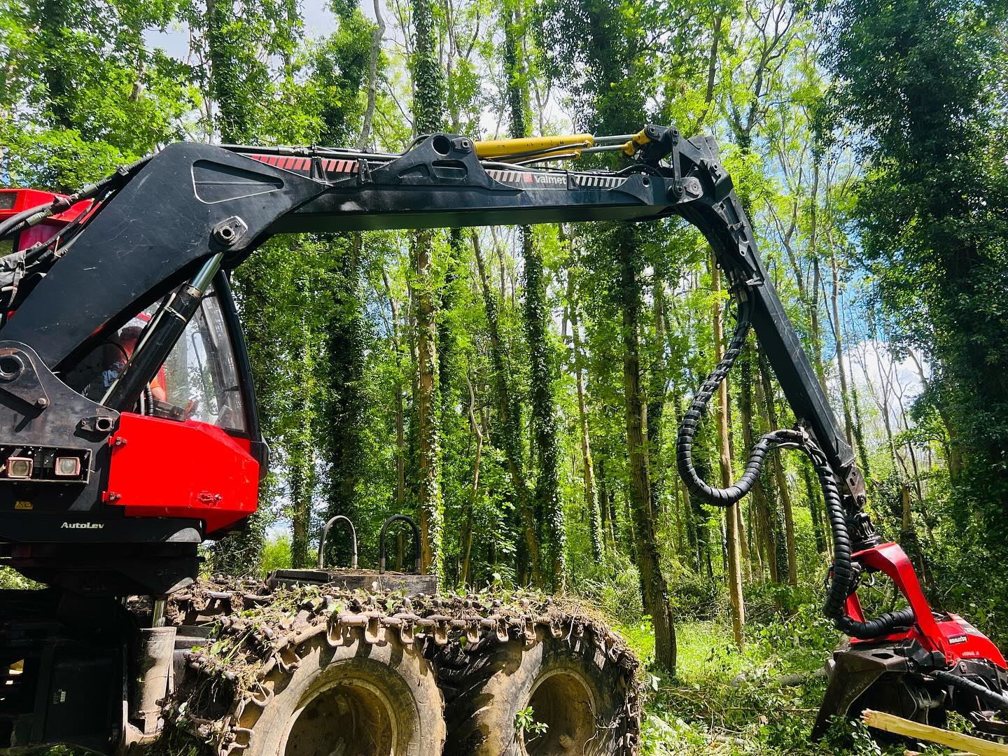 An ash dieback project we are currently undertaking, extracting some beautiful graded firewood for sale nationwide
Please feel free to contact us for more information:
Info@wallacetimber.co.uk
01428727799
07775834129
Instagram - wallacetimberservices
#ashdieback #ashdiebackremoval #forestryequipment #forestryworks #dangeroustreeremoval #harvester #forwarding #treeshear #understory #regen #restock #firewood #gradedfirewood #logs #oversizedfirewood #timberhaulage #timberforsale #wallacetimberservices #contracthire #uk
