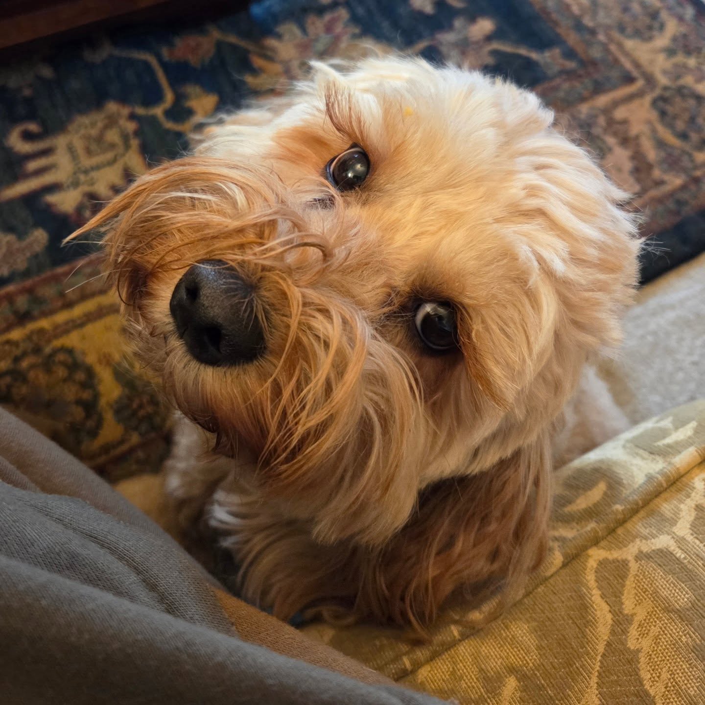 Shall we buy some #antiques today? #stufftoyouandme