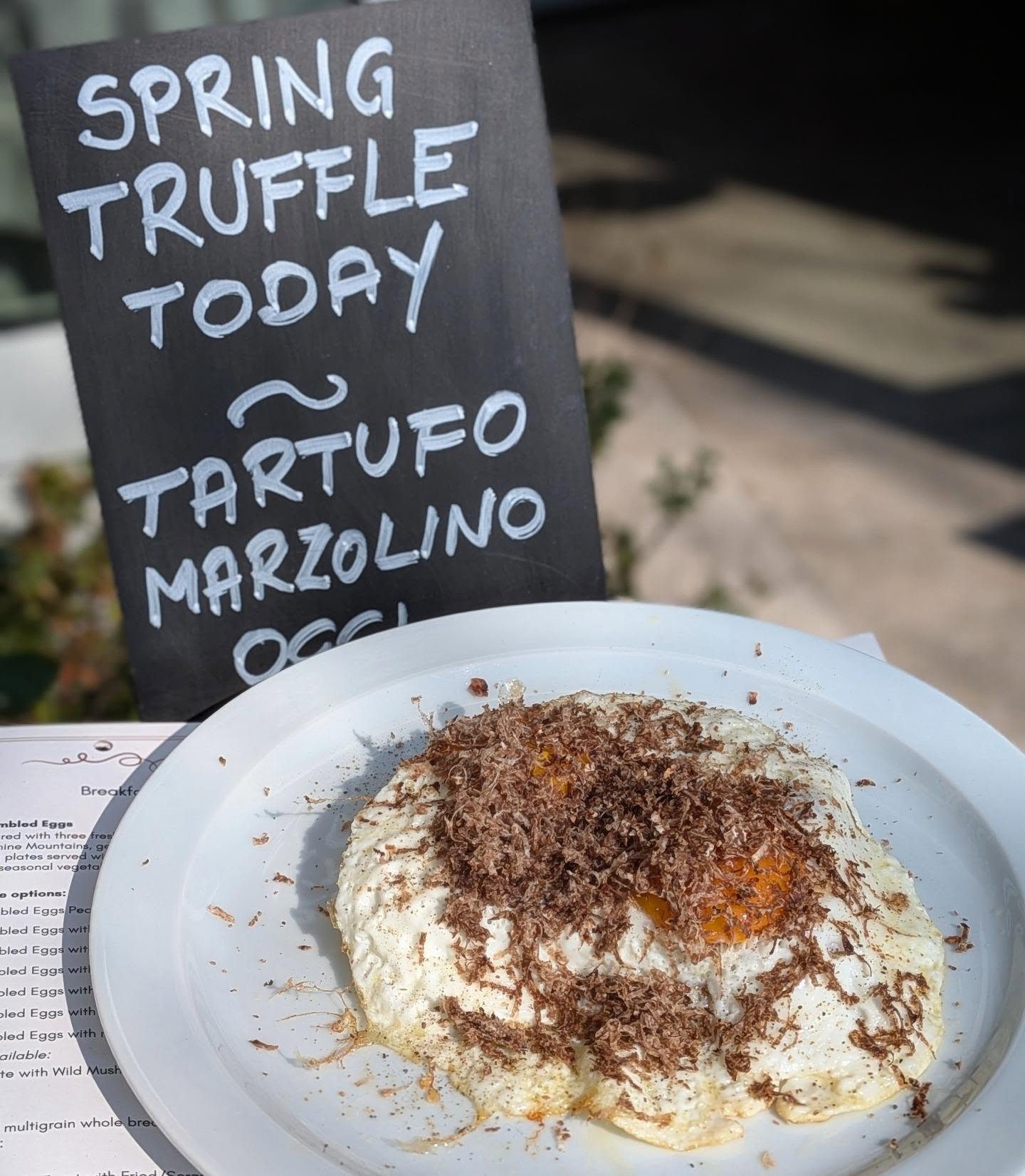 The kind of breakfast that turns a morning into a moment 😊
Come taste the essence of spring with us
📍 Find us in the heart of Montepulciano
⏰ Open for breakfast & lunch (closed Thursdays)
✨ #lalmacafe
☺️ #goodfoodisgoodmood
🍳 #breakfast
🥪 #brunch
