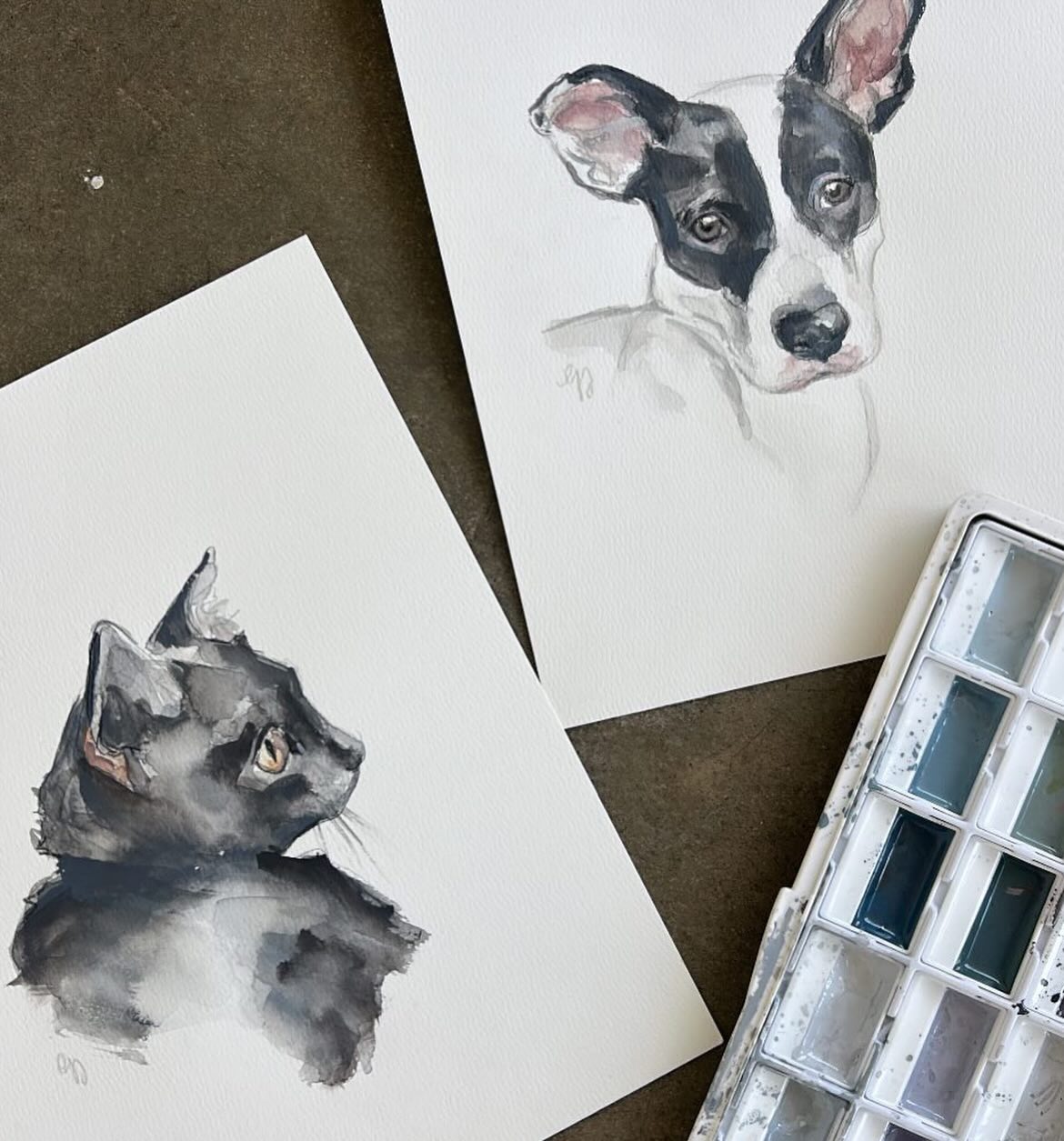 DOGS DOGS DOGS (and a cat)
A little pet portrait round up. I spoiled myself with a new watercolor palette, and wow I'm in love.