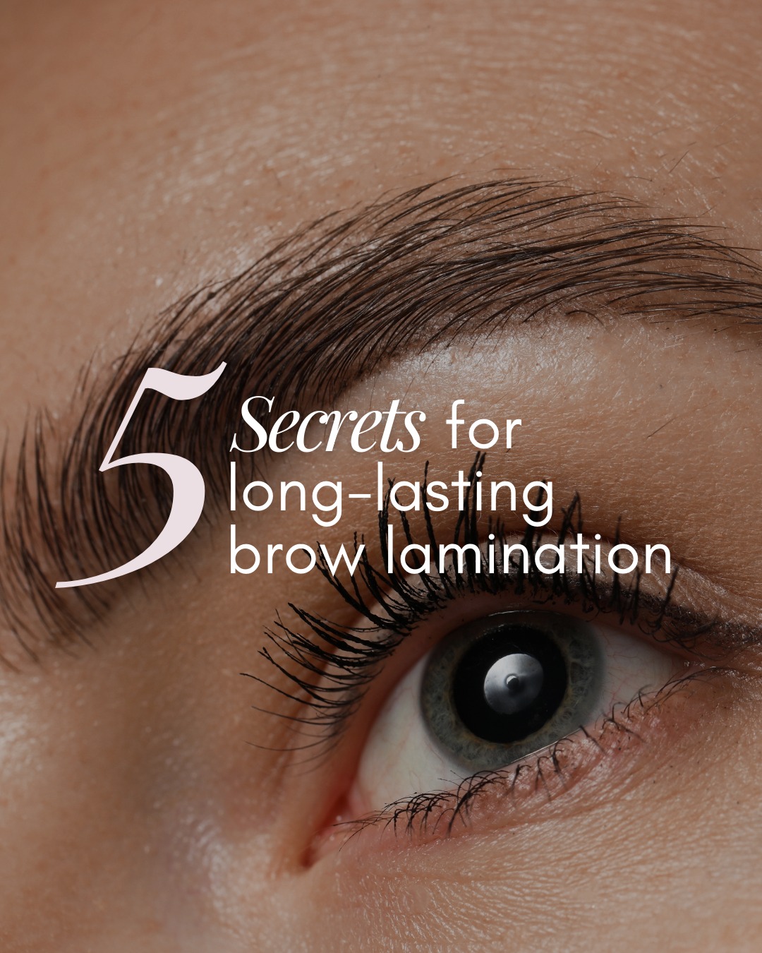 Your brow lamination doesn’t end when you leave your appointment ✨
With the right aftercare, you can keep your brows looking fuller, healthier, and perfectly styled for longer.
From brushing daily to weekly bond-repair treatments, these simple habits make all the difference.
Save this post so you know exactly how to keep your laminated brows looking their best 💖