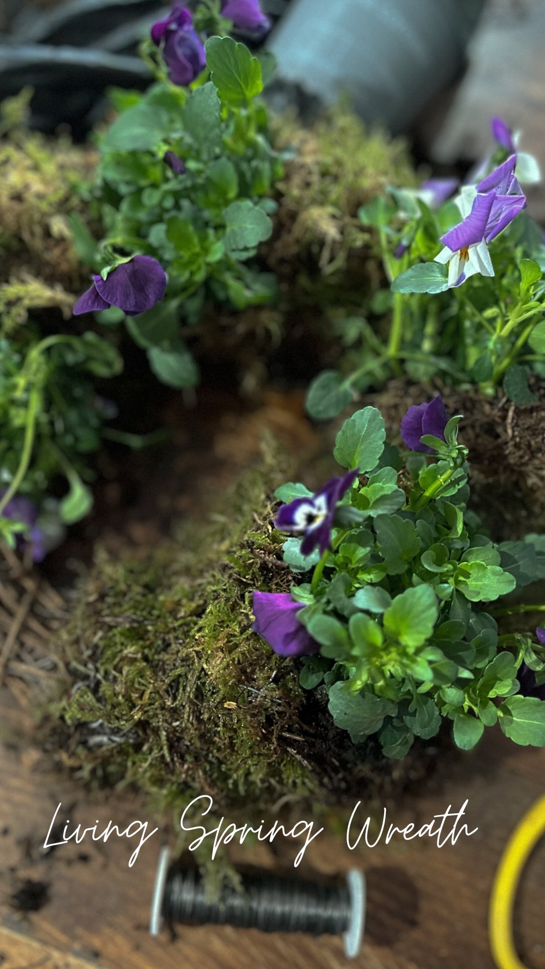 Fresh, floral, and full of spring 🌿✨
Creating this beautiful living spring wreath has been pure joy! 🌸
Orders are now open if you’d love one for your door… or if you fancy getting hands-on, why not come and make your own at one of our workshops? 💐
Limited spaces available – message to book or find out more