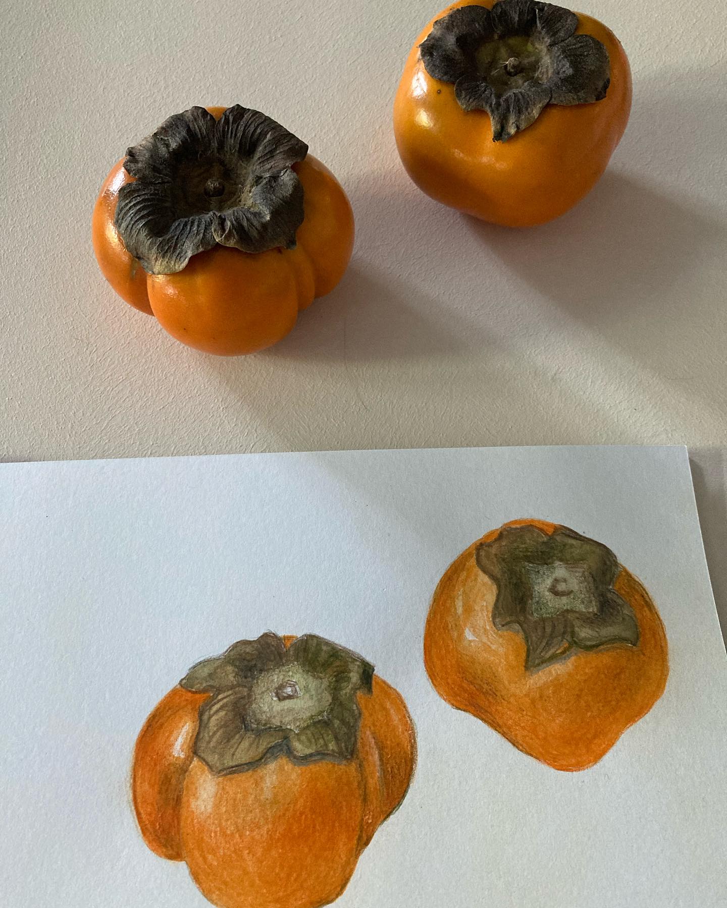 Le kaki, selon la Diététique Chinoise!
Un dessin perso, ma recette préférée!
Le kaki est de nature froide, de saveur douce, amère et astringente. Il a pour tropismes Estomac/ Poumon/ Gros Intestin.
Comme beaucoup de fruits de saveur douce, il tonifie la Rate et le Qi, surtout en cas de surmenage.
Il produit les liquides organiques et apaise la soif. Il clarifie la Chaleur du Poumon, de l’Estomac, du Coeur et du Gros Intestin. Il traite la Sécheresse du Poumon, humidifie celui-ci et traite la toux sèche (mais pas la toux grasse avec mucosités).
Il rafraîchit les intestins et arrête les saignements, aussi en cas d’hémorroïdes.
Il aurait aussi une très bonne action pour abaisser la tension, en augmentant le débit coronarien.
Il traite les hypotrophies de la thyroïde et le goutte (surtout en jus).
C’est une excellente source de vitamine À, de fibres, de magnésium, potassium et vitamine C.
Attention! Il est toutefois déconseillé en cas de vide de Rate, chez les personnes faibles, frileuses, souvent malades, ainsi que pendant les règles ou après l’accouchement chez les femmes!
Ma recette préférée: Salade vietnamienne aux kakis!
La recette dans ma prochaine parution!
#kaki #kakis #fruits #fruitsexotiques #bienfaitsdesfruits #cestbonpourlasanté #alimentationsante #dietetique #dietetiquechinoise