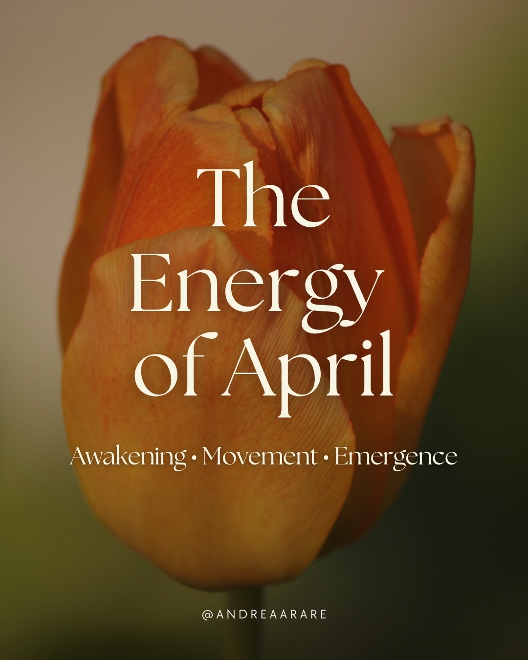 April carries the energy of movement.
This transition can feel energising and tender at the same time.
The nervous system is adjusting to expansion. You may feel inspired one moment and uncertain the next.
This is not inconsistency; it is adaptation.
Spring does not rush its unfolding.
Neither do you need to.
April invites gentle participation in life again.
One step. One opening. One small emergence at a time.
Move gently toward what is calling you.
Swipe ➡️ to learn more about the energy of April 🌿
#april #wheeloftheyear #cyclicalliving