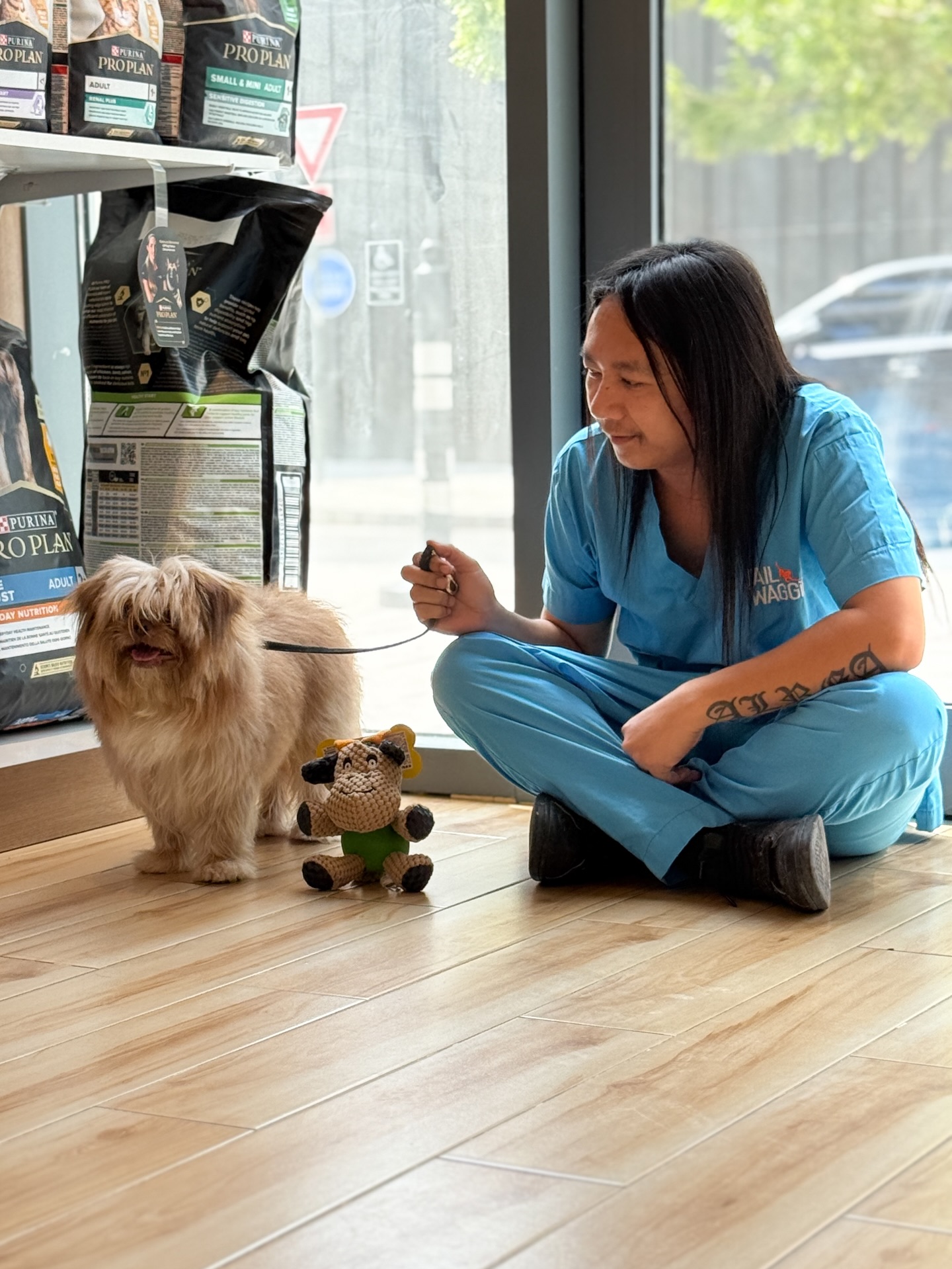 when the groom turns into a bonding session 🧡🐾 #wagginized #tailwaggindubaihills #petgrooming