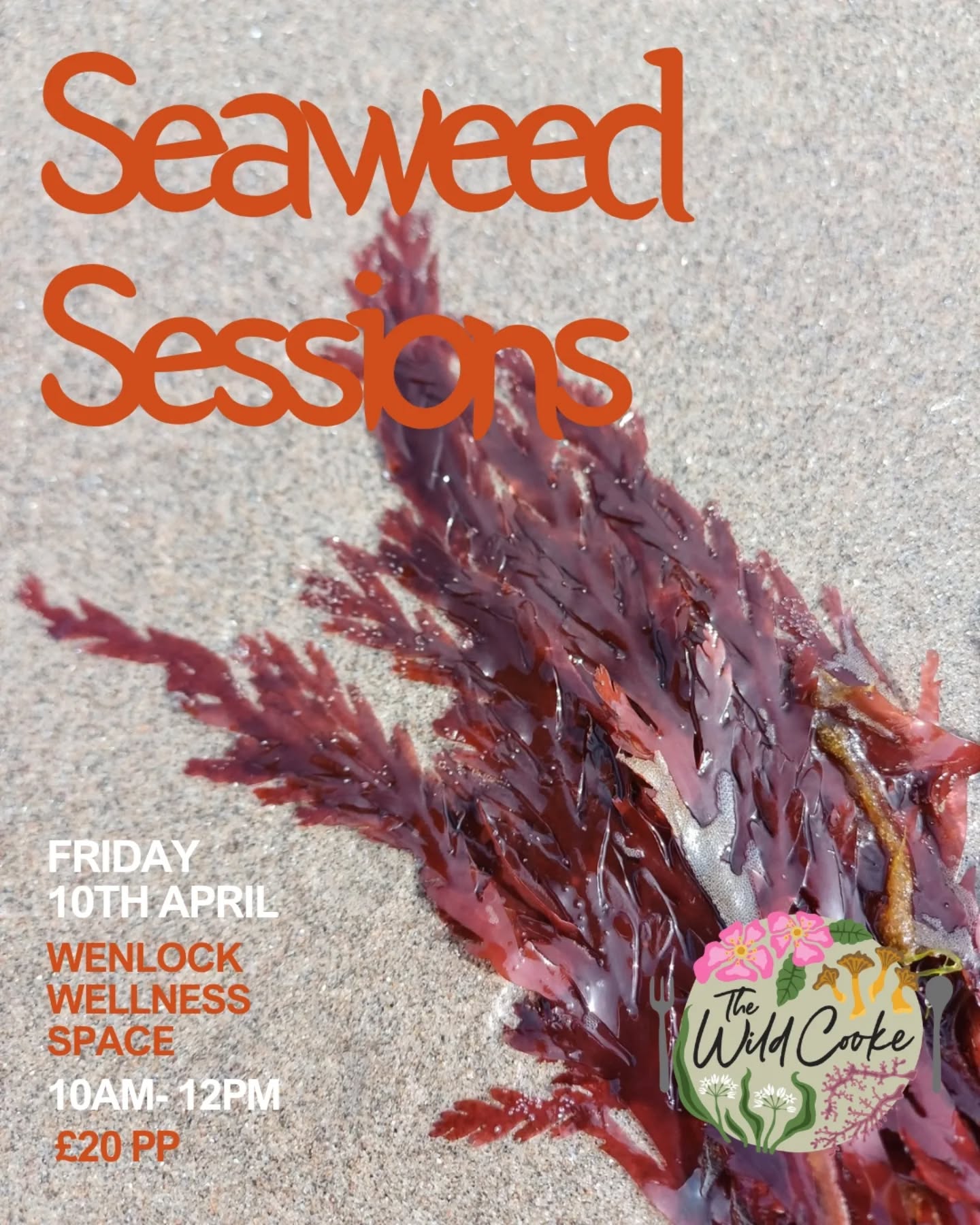 THIS IS NOT AN APRIL FOOL! I am bringing seaweeds to Much Wenlock. Join me for a lovely indoor session in just over two weeks time at the beautiful Wenlock Wellness Space courtesy of @wellnesswithin.love πͺΈππ½