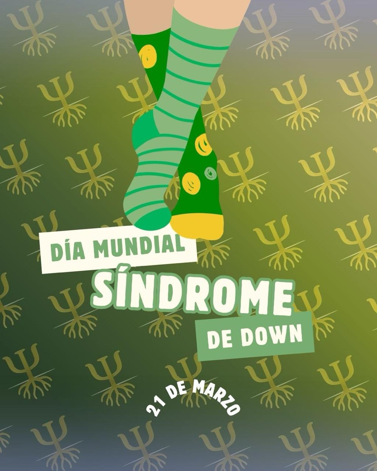 Hoy conmemoramos el Día Mundial del Síndrome de Down 💛
Una fecha para visibilizar, reflexionar y celebrar la diversidad que enriquece nuestra sociedad. Cada persona con síndrome de Down tiene talentos, sueños y una forma única de ver el mundo que merece ser reconocida, respetada y valorada.
La inclusión no es un favor, es un derecho. Construyamos espacios donde todas las personas puedan desarrollarse plenamente, con oportunidades reales y sin barreras.
Hoy y todos los días, promovamos el respeto, la empatía y la igualdad
#DíaMundialDelSíndromeDeDown #Inclusión #Diversidad #Respeto #IgualdadDeOportunidades