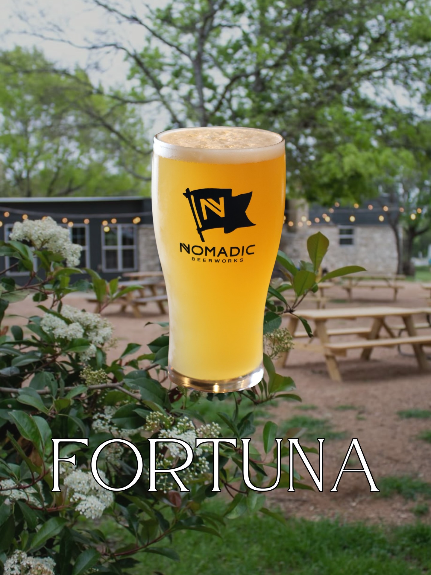 New Beer Alert 📣 Lady Fortune is on your side 🍻
Introducing 🪙 ꜰᴏʀᴛᴜɴᴀ 🪙 Hazy IPA | 6.9% ABV
HOPS: cashmere, citra, sabro
NOTES OF: orange, coconut, and lime zest
The newest addition to the Nomadic lineup gets its name from the Roman deity Fortuna, goddess of luck, fortune, and fate — and there’s nothing quite like an anniversary to make you realize just how fortunate you are 🥳
We brewed ꜰᴏʀᴛᴜɴᴀ to commemorate 3 years of @nomadic_outpost 🎉 We can’t believe our Sunset Valley watering hole has already been around three whole years, but they do say time flies when you’re having fun… and bringing Nomadic Outpost to life has been the adventure of a lifetime 🌞🏔
We feel awfully fortunate for your continued love and support of our beer, our team, and the Nomadic brand as a whole 🥹 Here’s to many more years of good people, good beer, and good times 🍻
ꜰᴏʀᴛᴜɴᴀ is on tap today at both Nomadic Outpost AND Nomadic Beerworks. Come celebrate 3 years of Outpost with us today from 1-9pm! 💃🕺🪩