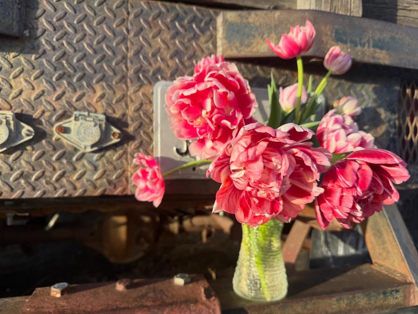 Tulips for days… finding time for planting, seeding and getting skins back on the high tunnels that were blown away in the wind storms… this year’s coming in hot.
#americangrownflowers #americangrown #grownnotflown #montana #406