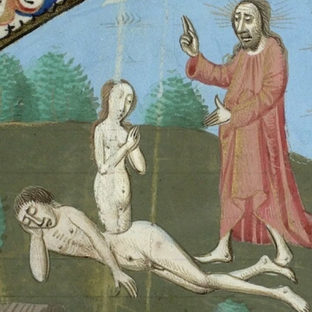 Chute d'#Adam et #Eve dans Boccace, De casibus virorum illustrium, 1470-1480. Paris, Bibliothèque Mazarine, ms 3878, f. 7.
#medievalmanuscript #medievalart #medieval